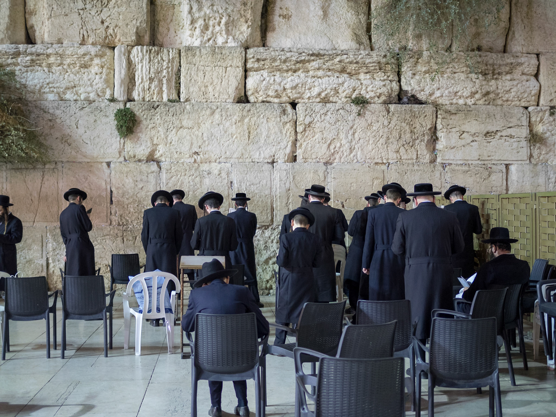 A group of Orthodox Jew men pray by the Wailing Wall