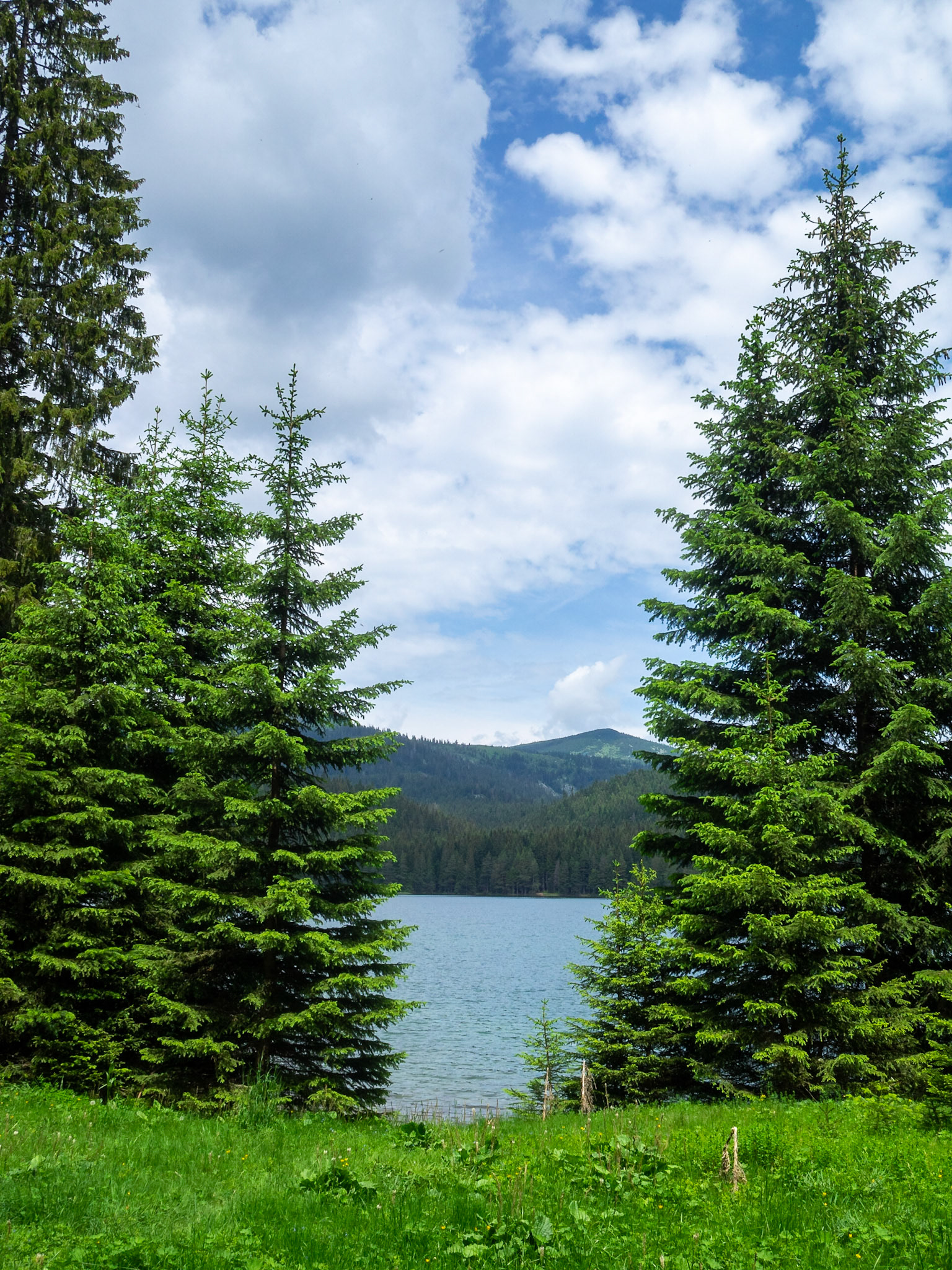 Durmitor Balck Lake between the pine trees