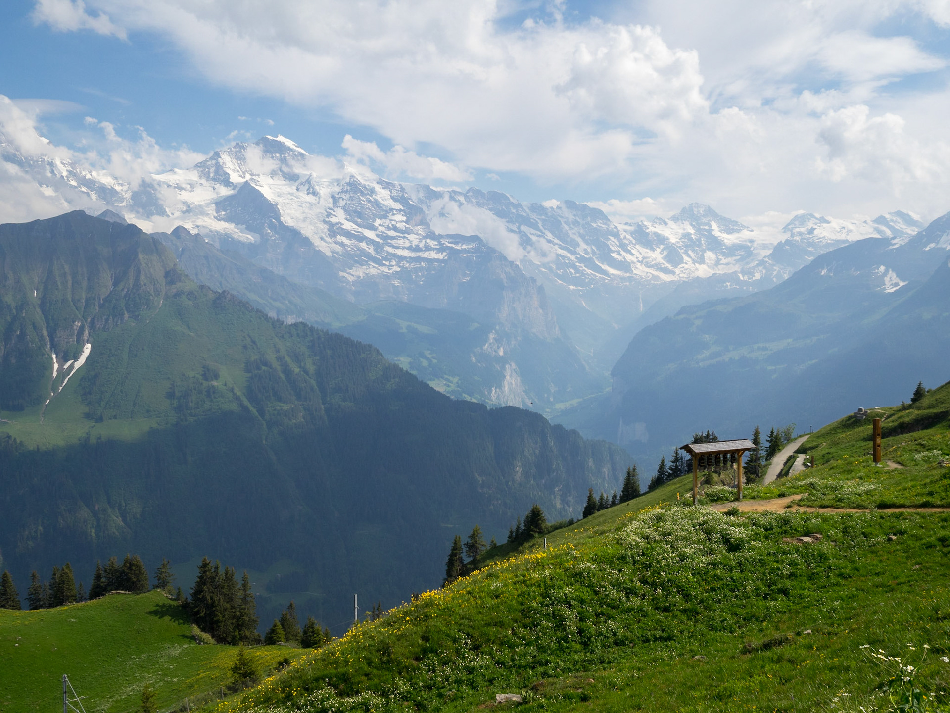 Jungfrau and Bernese Alps from Schynige Platte