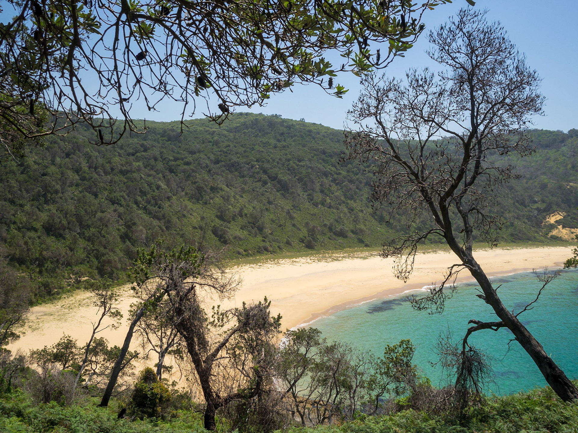 Steamers Beach turquoise waters