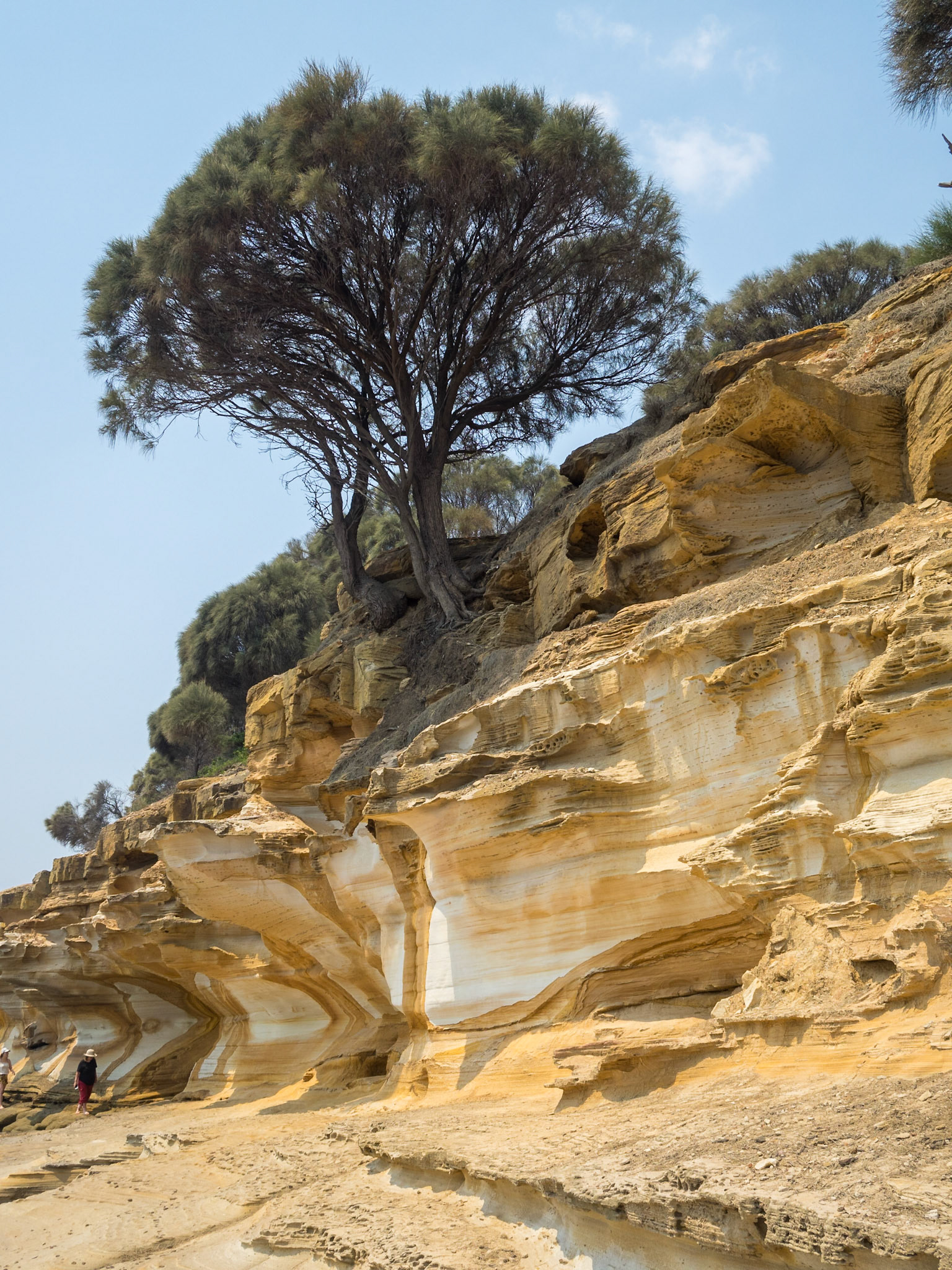 Maria Island Painted Cliffs