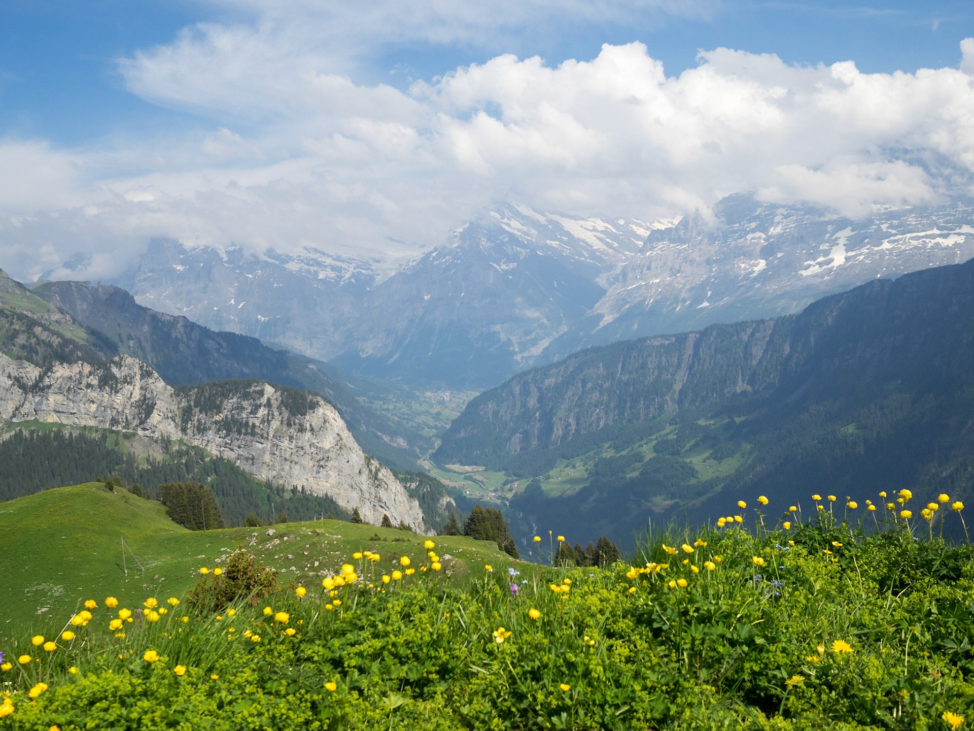 Schreckhorn and Bernese Alps seen from Schynigge Platte