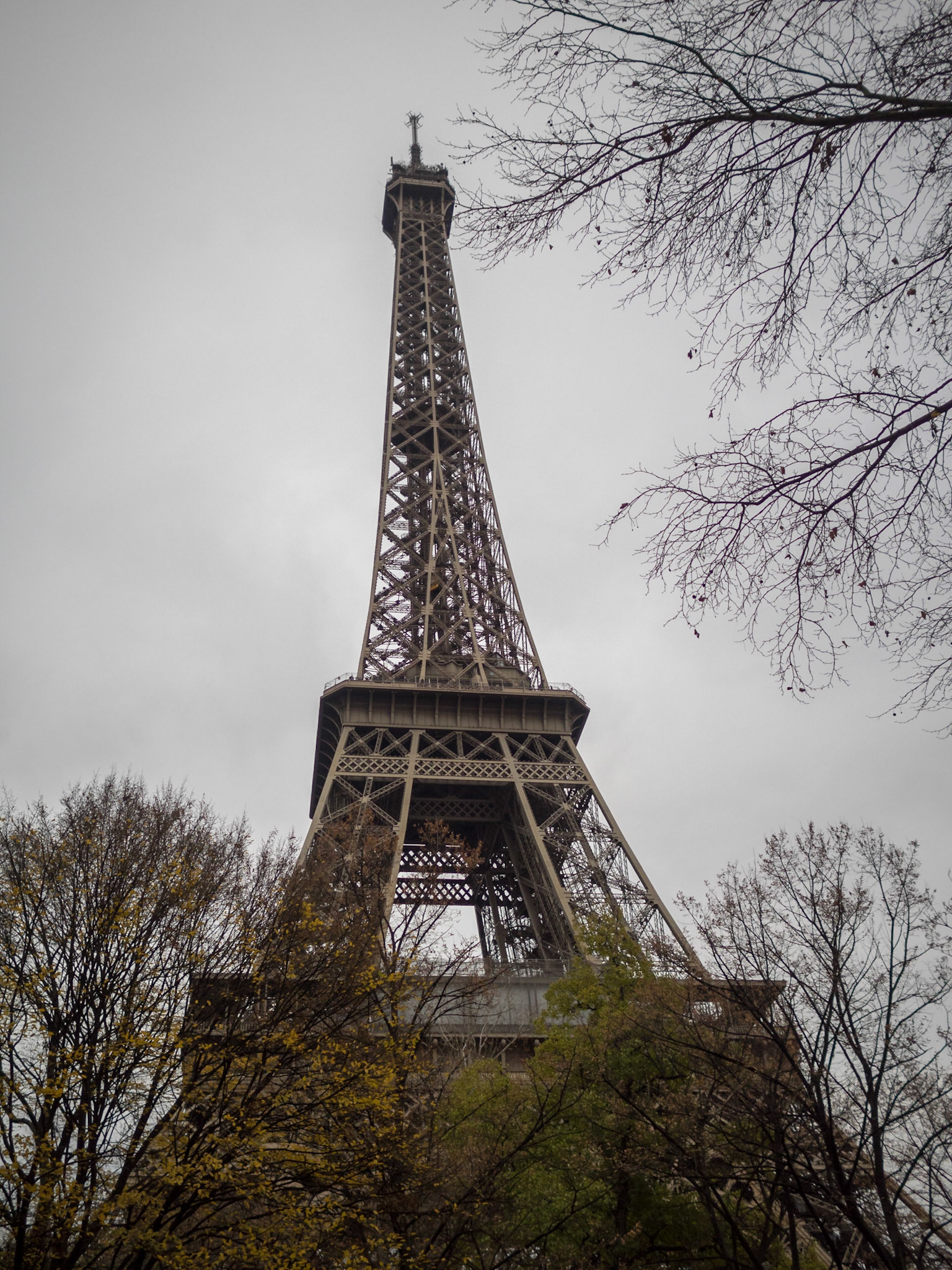 Eiffel tower between tree branches and gray sky