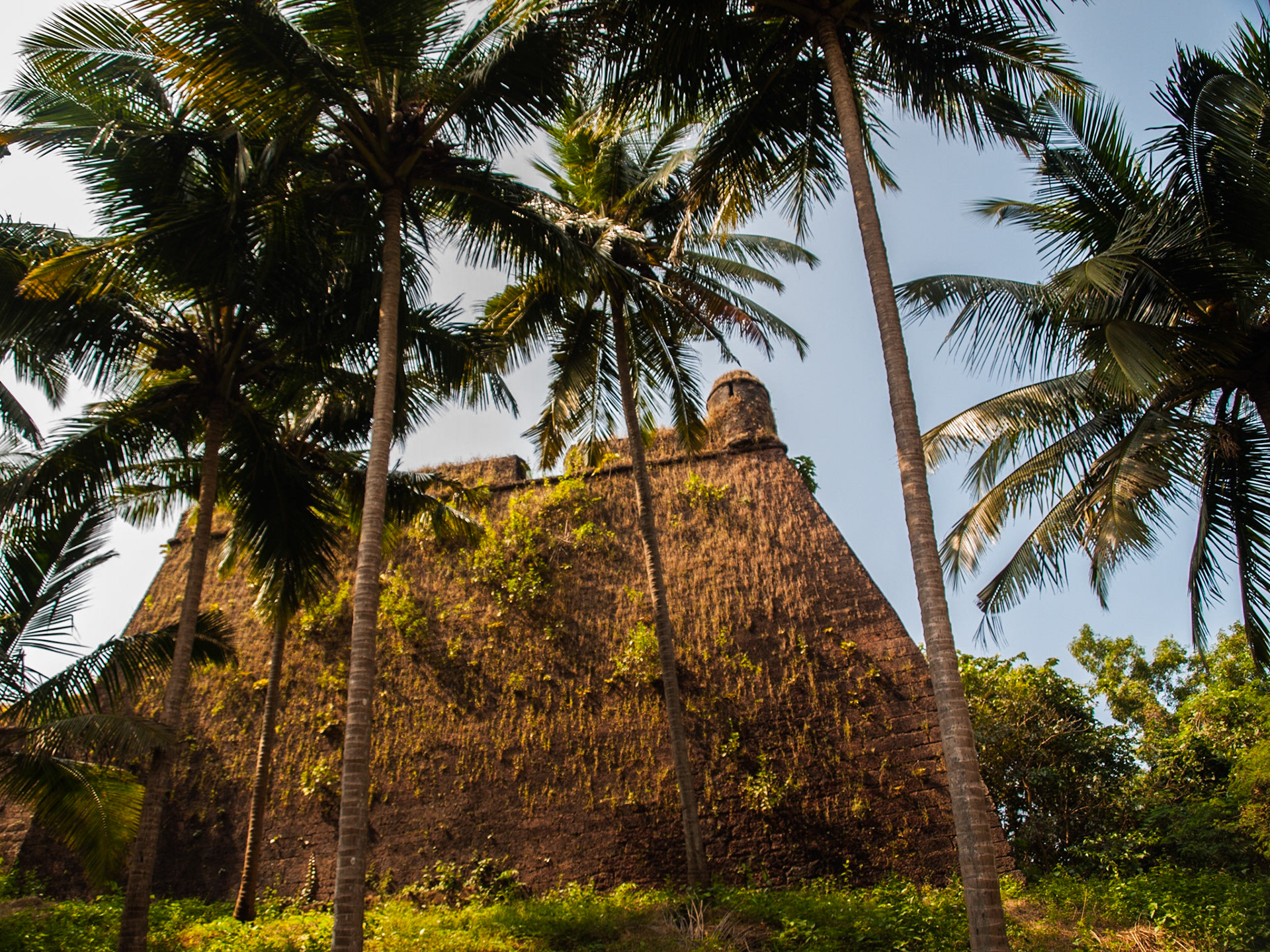 Reis Magos Fort with palm trees