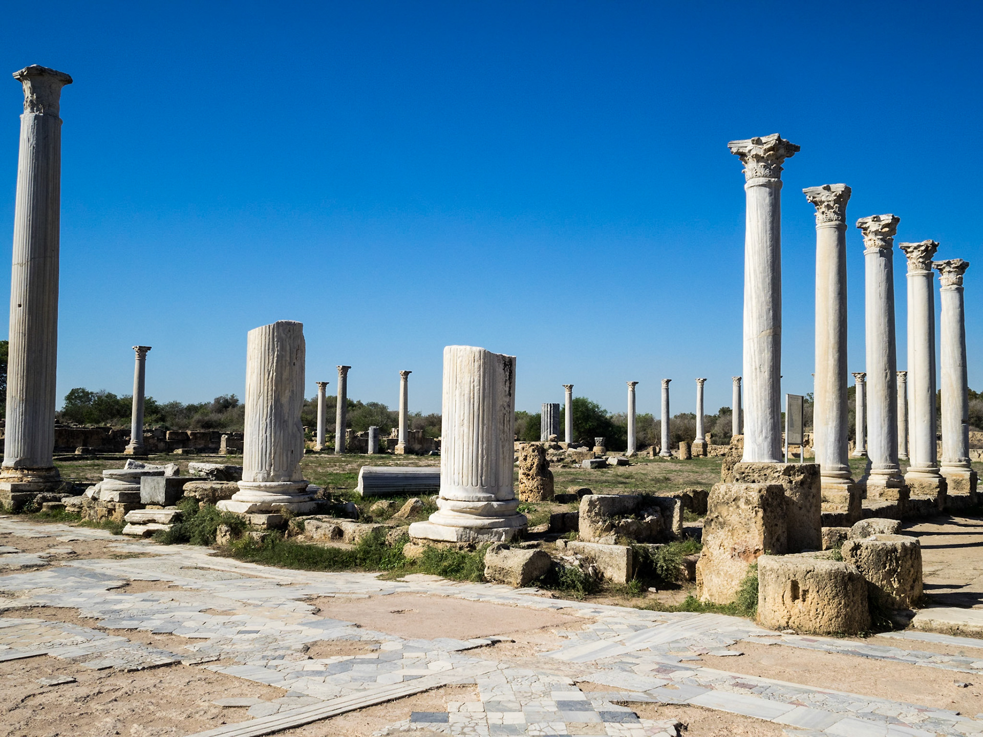 Ancient Salamis ruins and columns