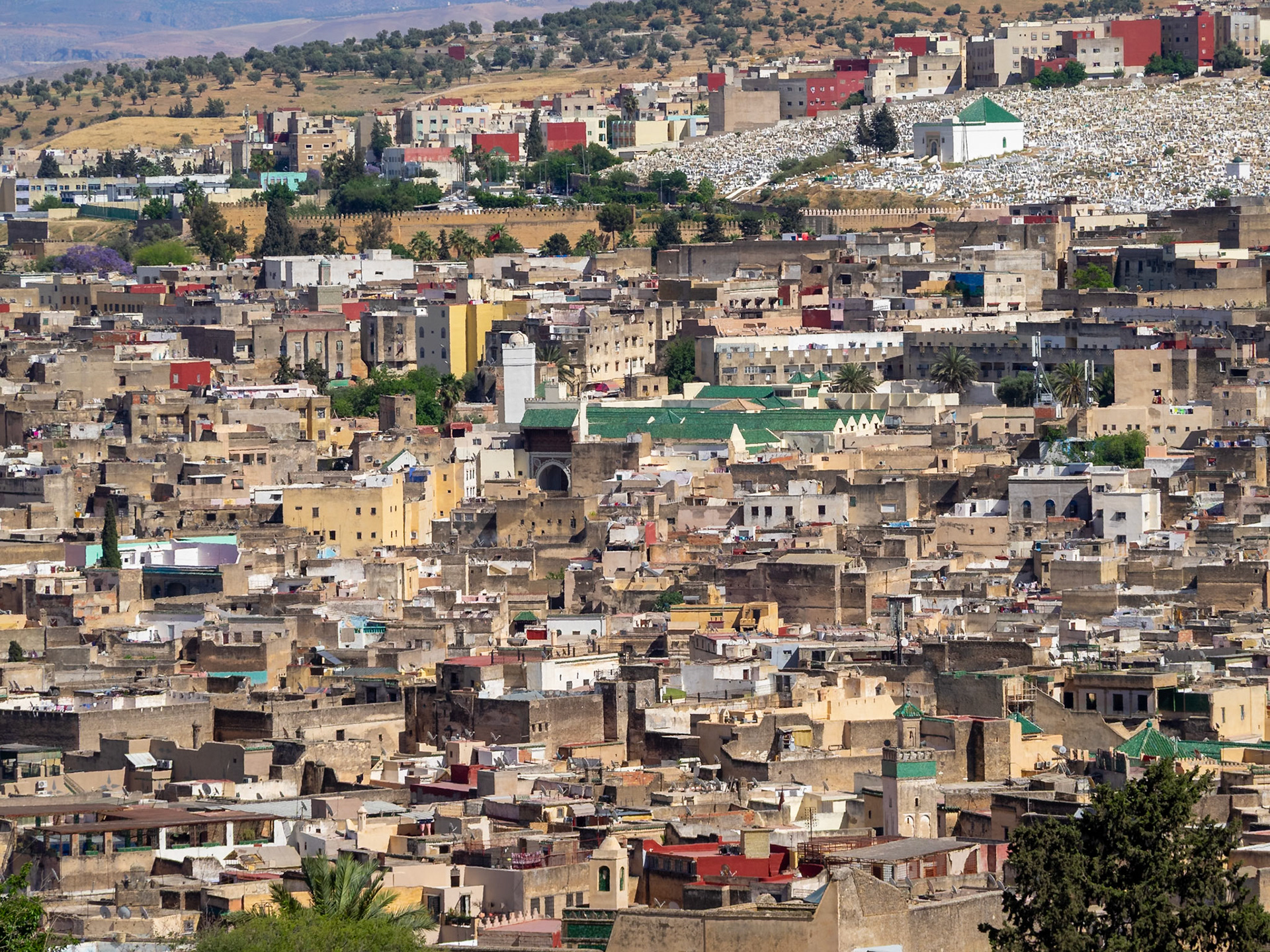 Fez cityscape with Mosque of the Andalusians in foreground, Morocco