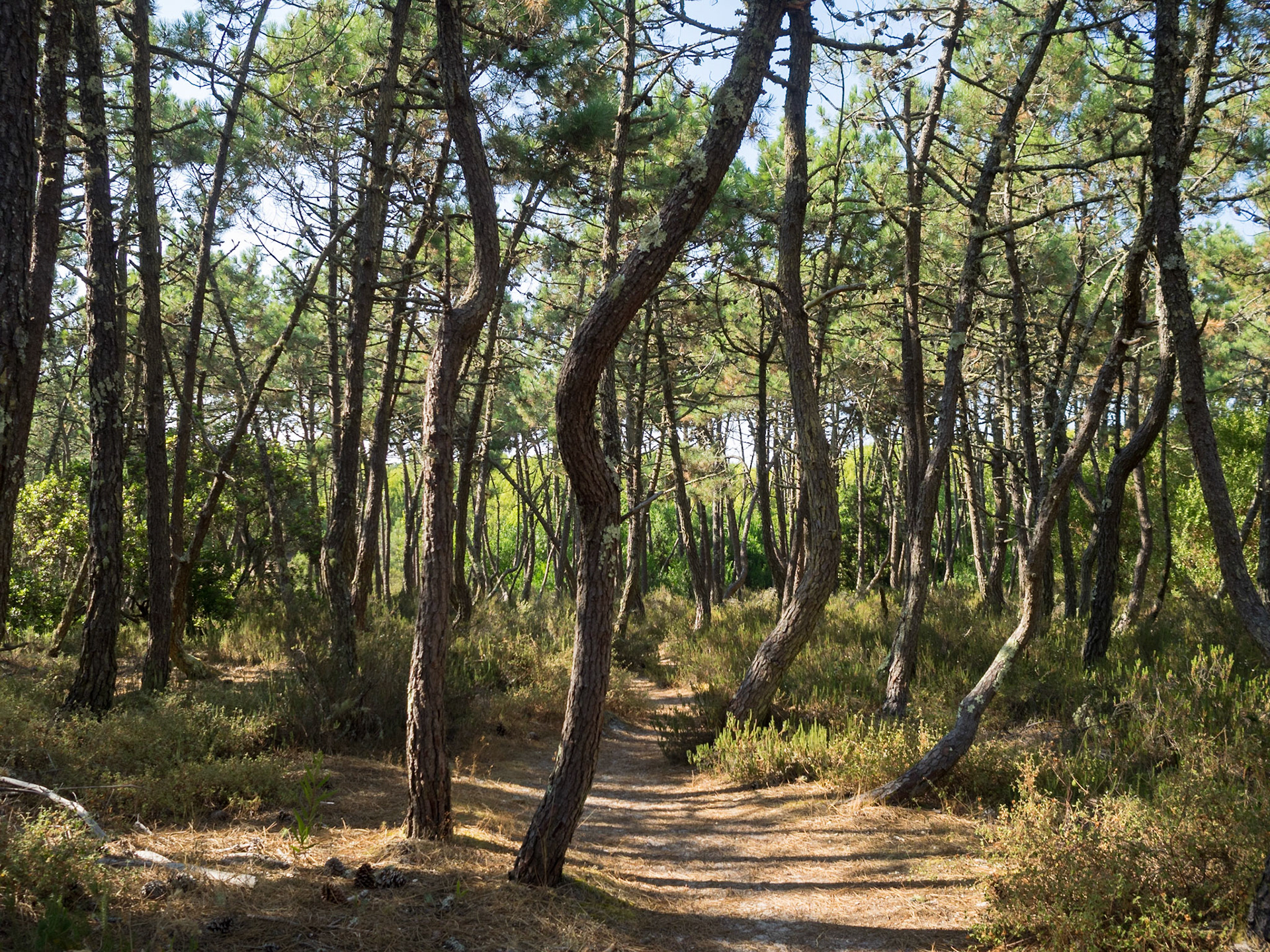 São Jacinto Dunes Nature Park