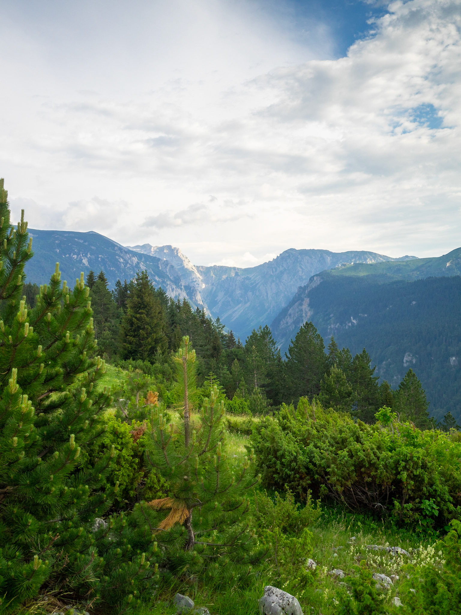 Susica canyon, Durmitor National Park