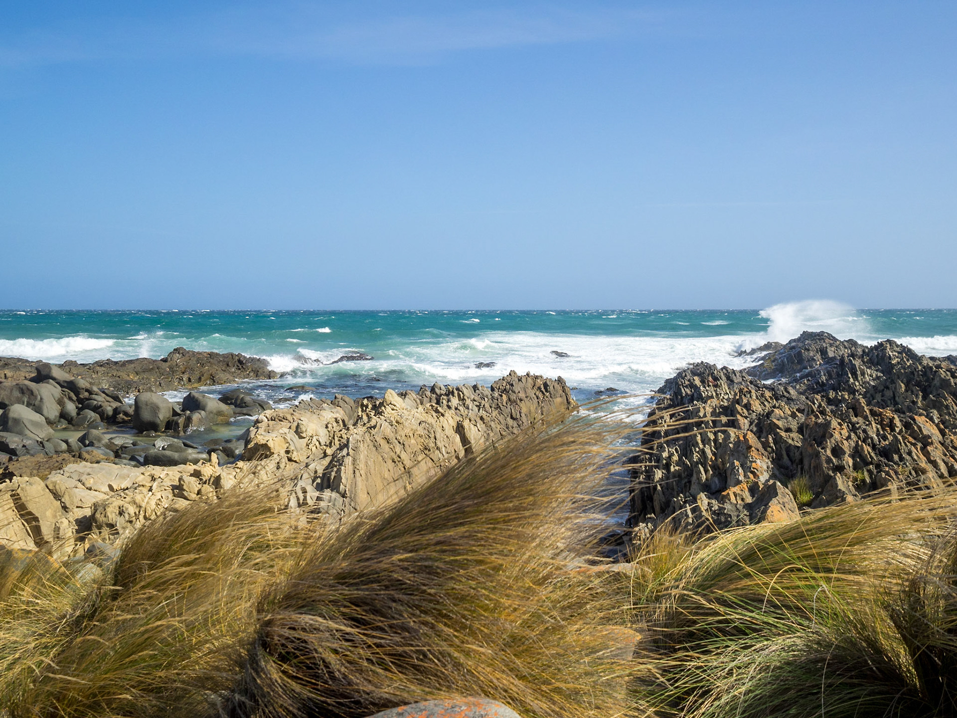 By the sea in Cape Conran Nature Trail