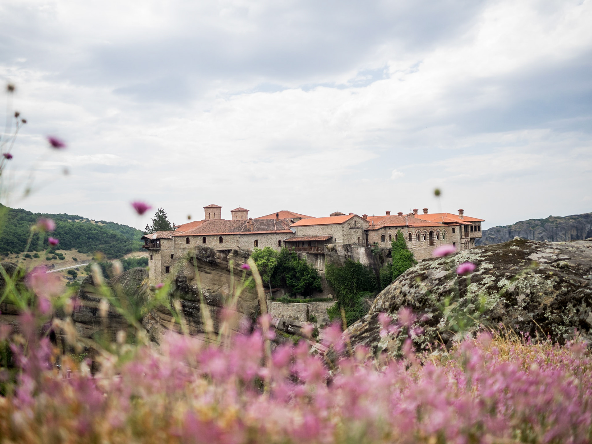 Meteora monastery with pink flowers in foreground