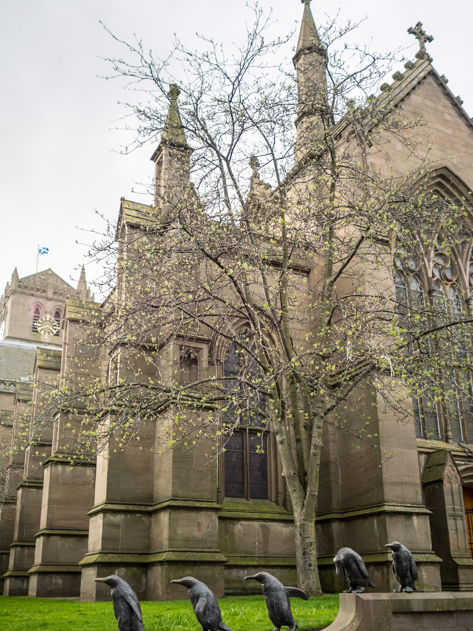 Dundee's St Mary's Church and pinguins statues