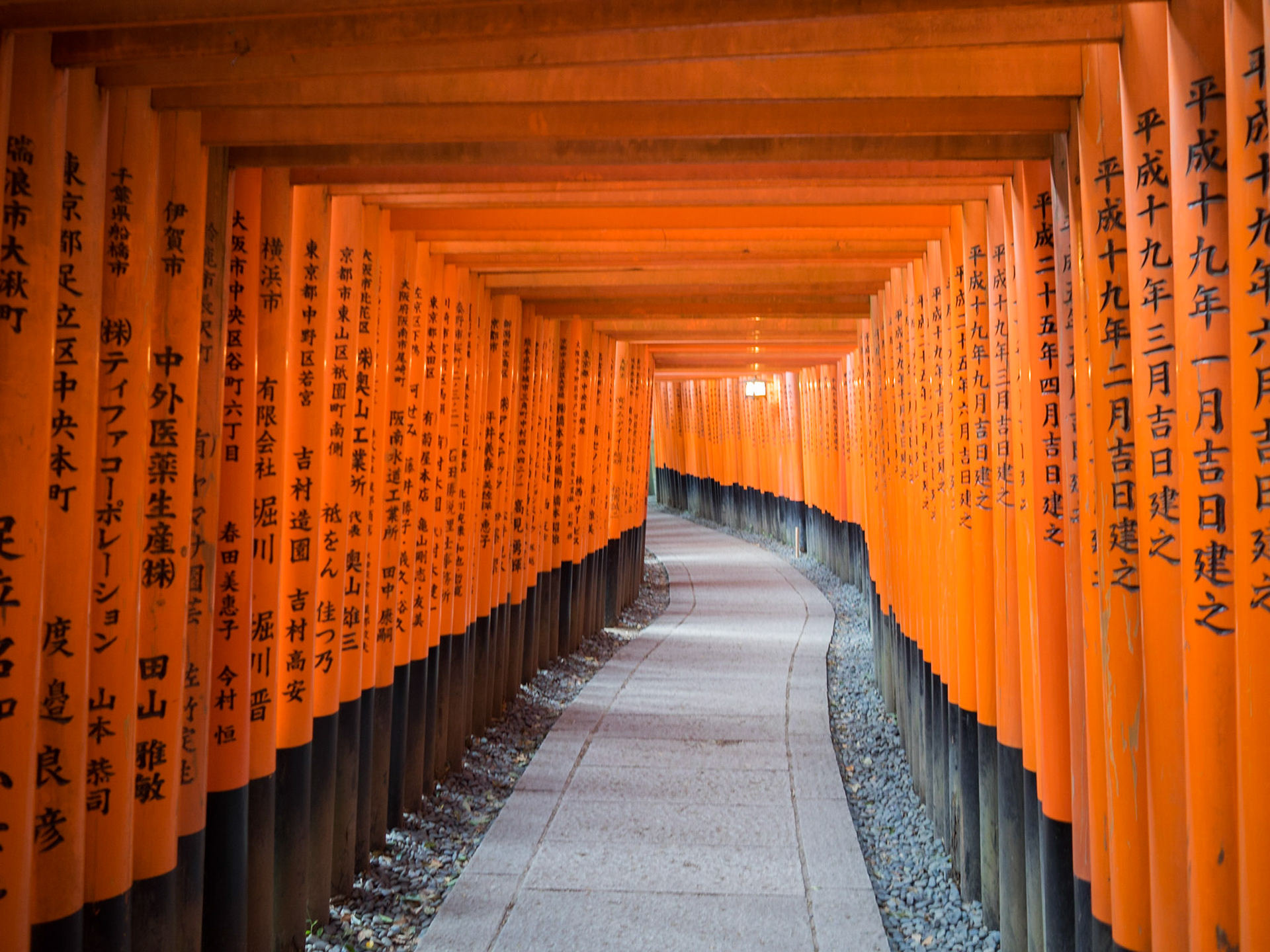 Fushimi-Inari-Taisha temple red tori tunnel