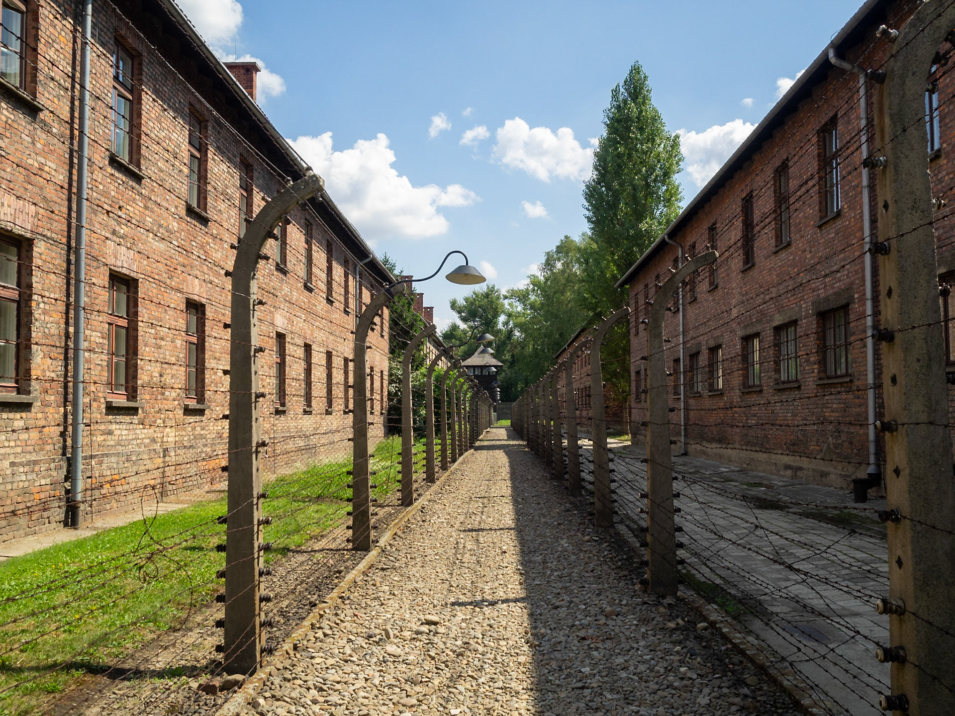Barracks and barbed wire fences of Auschwitz Concentration Camp