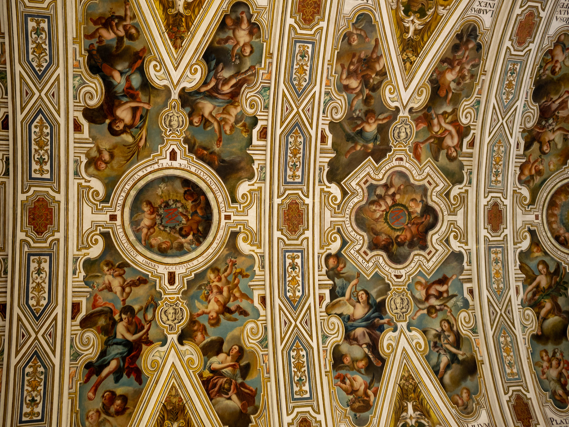 Iglesia de San Luis de los Franceses, Capilla Doméstica ceiling