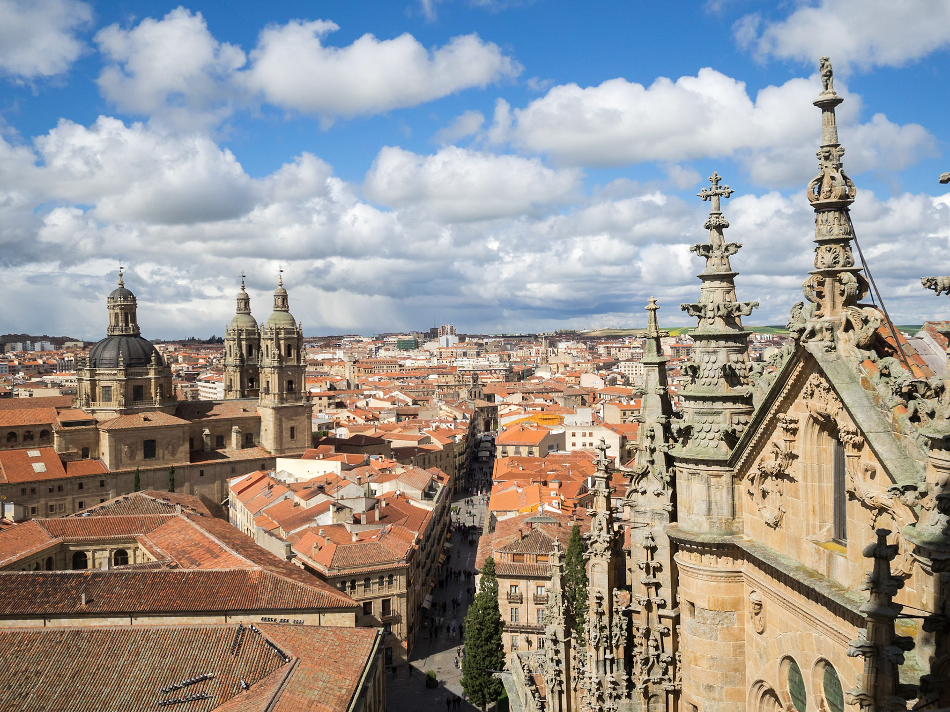 Salamanca cityscape seen from the Cathedral roof