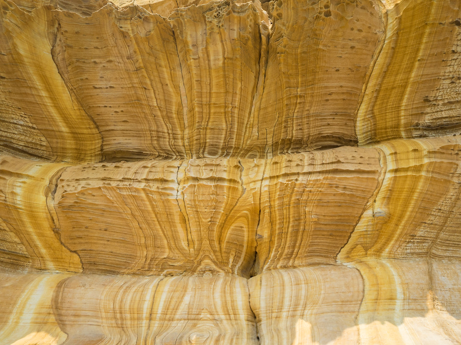 Rock patterns of Maria Island Painted Cliffs