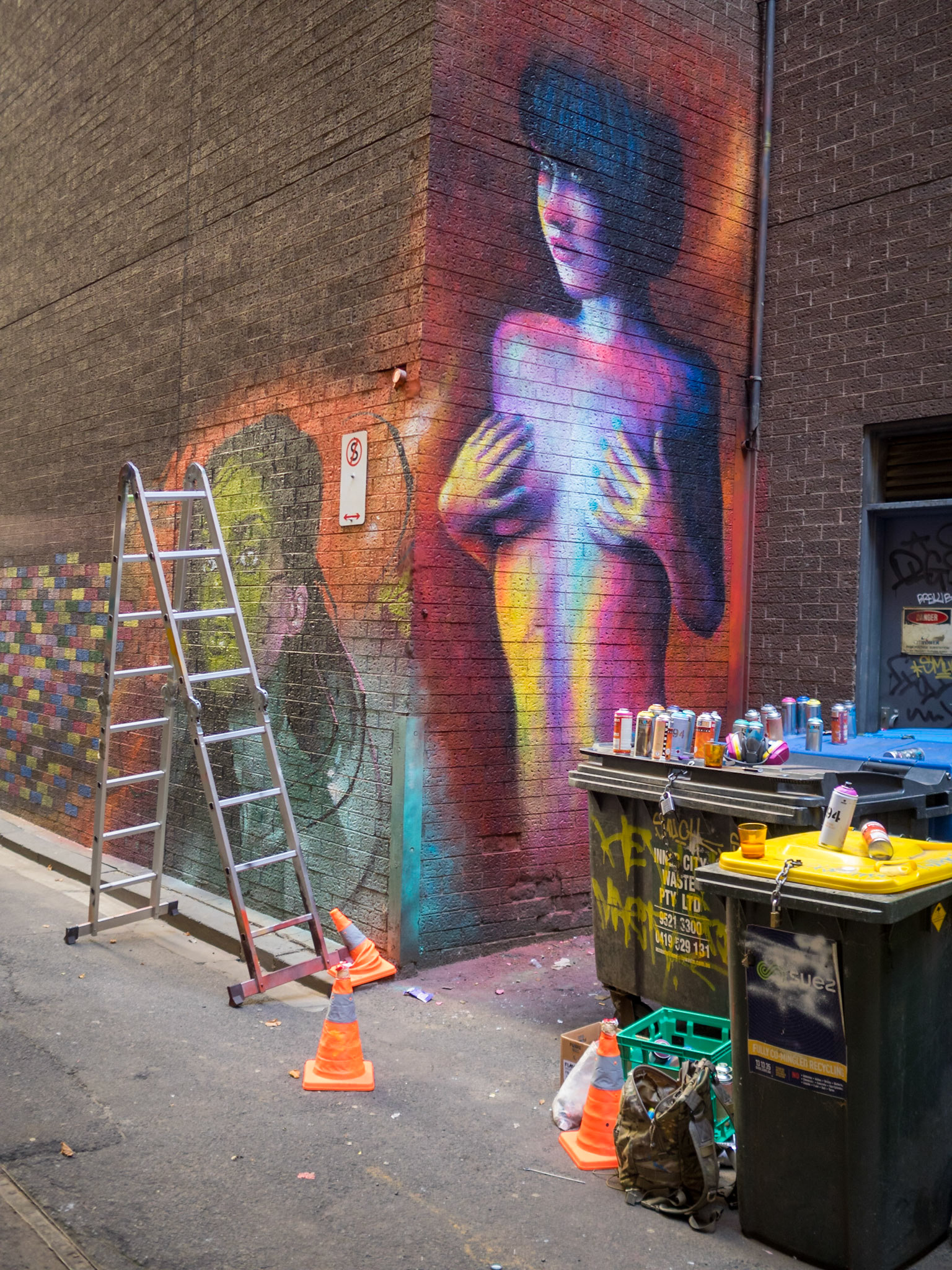 Duckboard Place street art, Melbourne