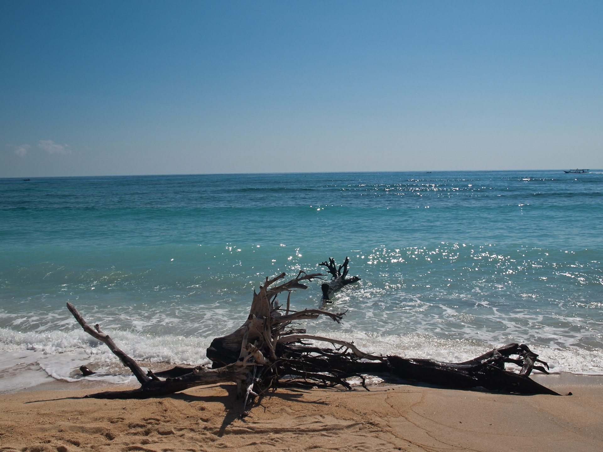 Tropical sea beach with tree branch in the water