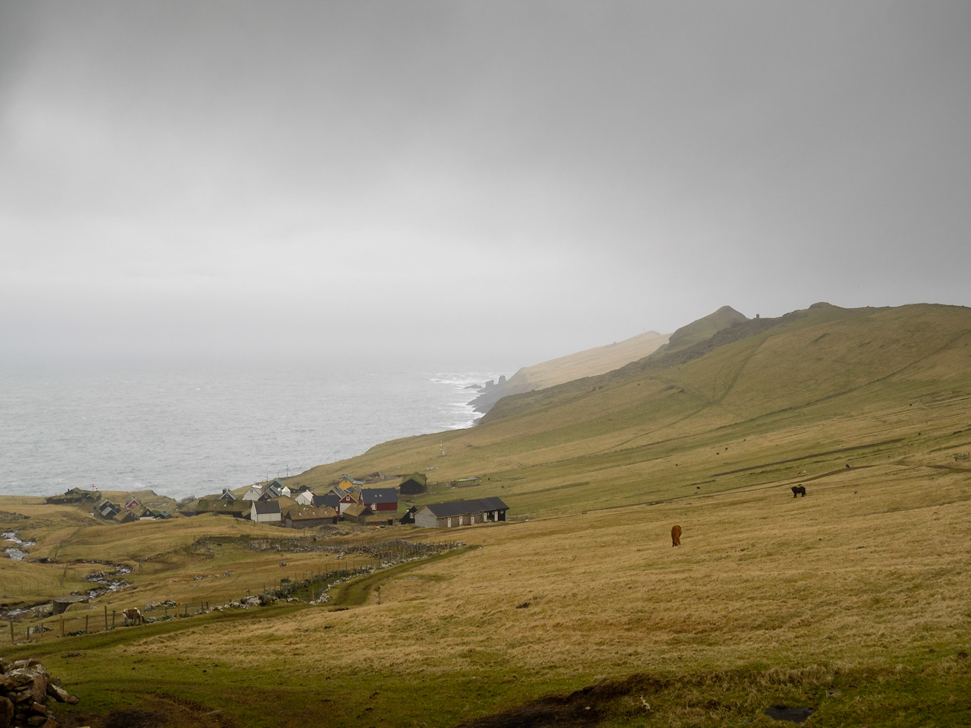 Mykines island landscape with the hamlet by the sea