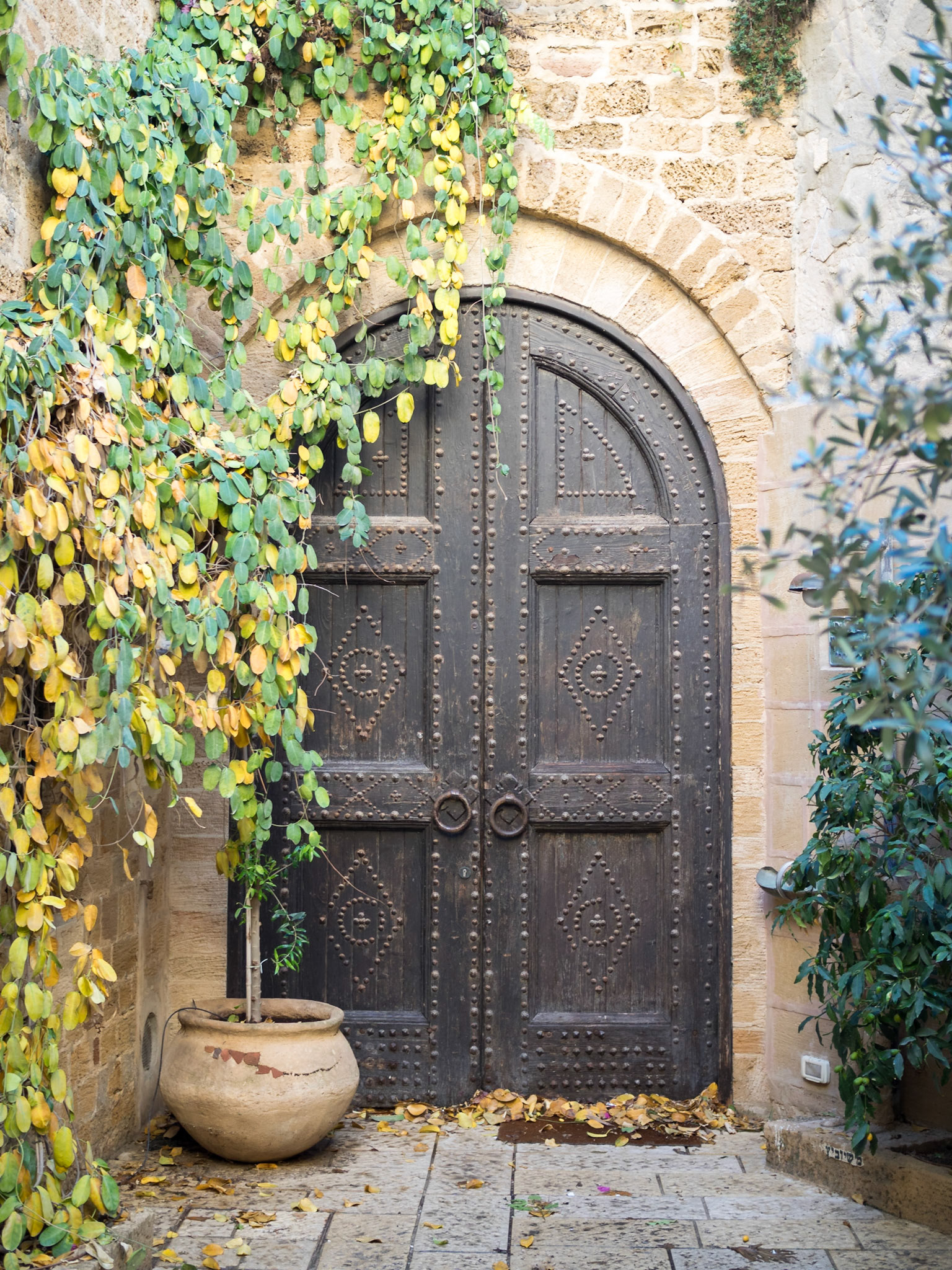 Old door of Old Jaffa house