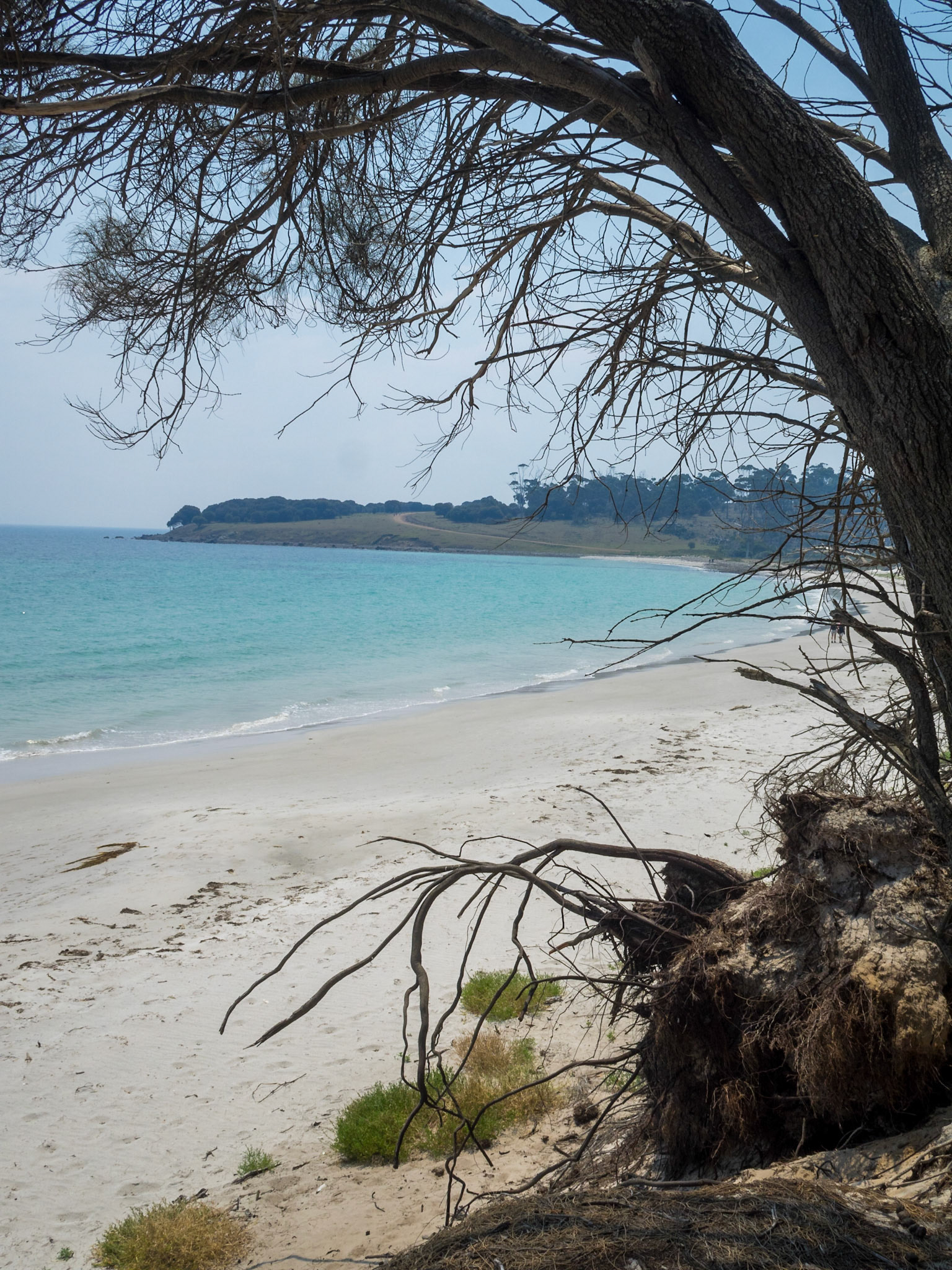 Hopground Beach in Maria Island