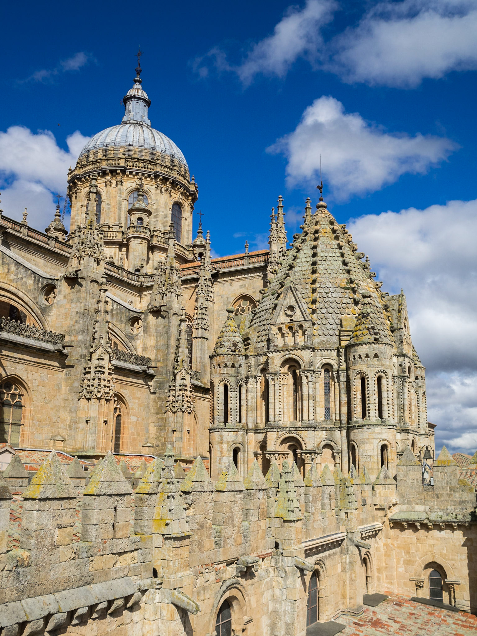 Salamanca Cathedral roofs