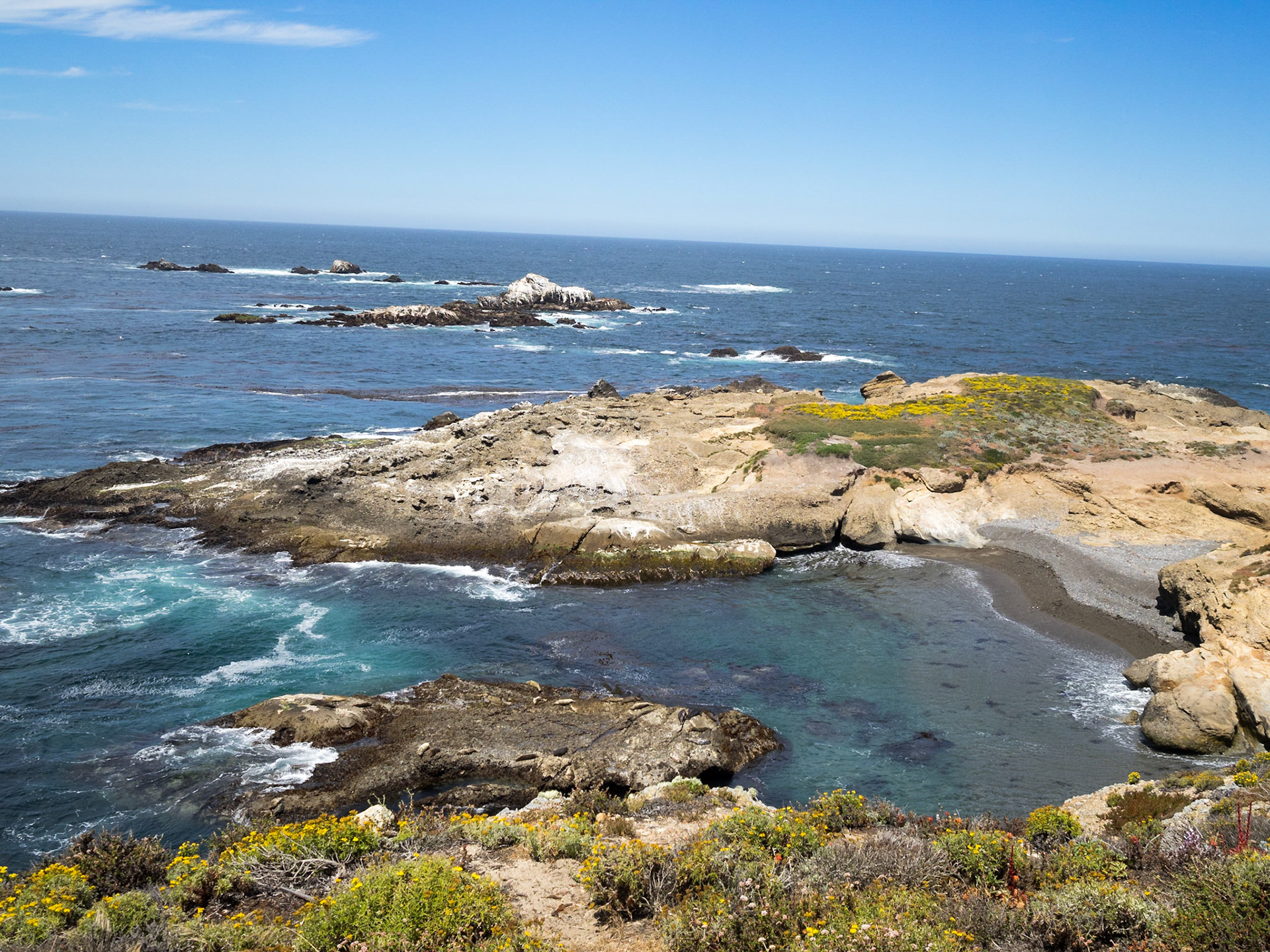 Point Lobos State Natural Park coastline