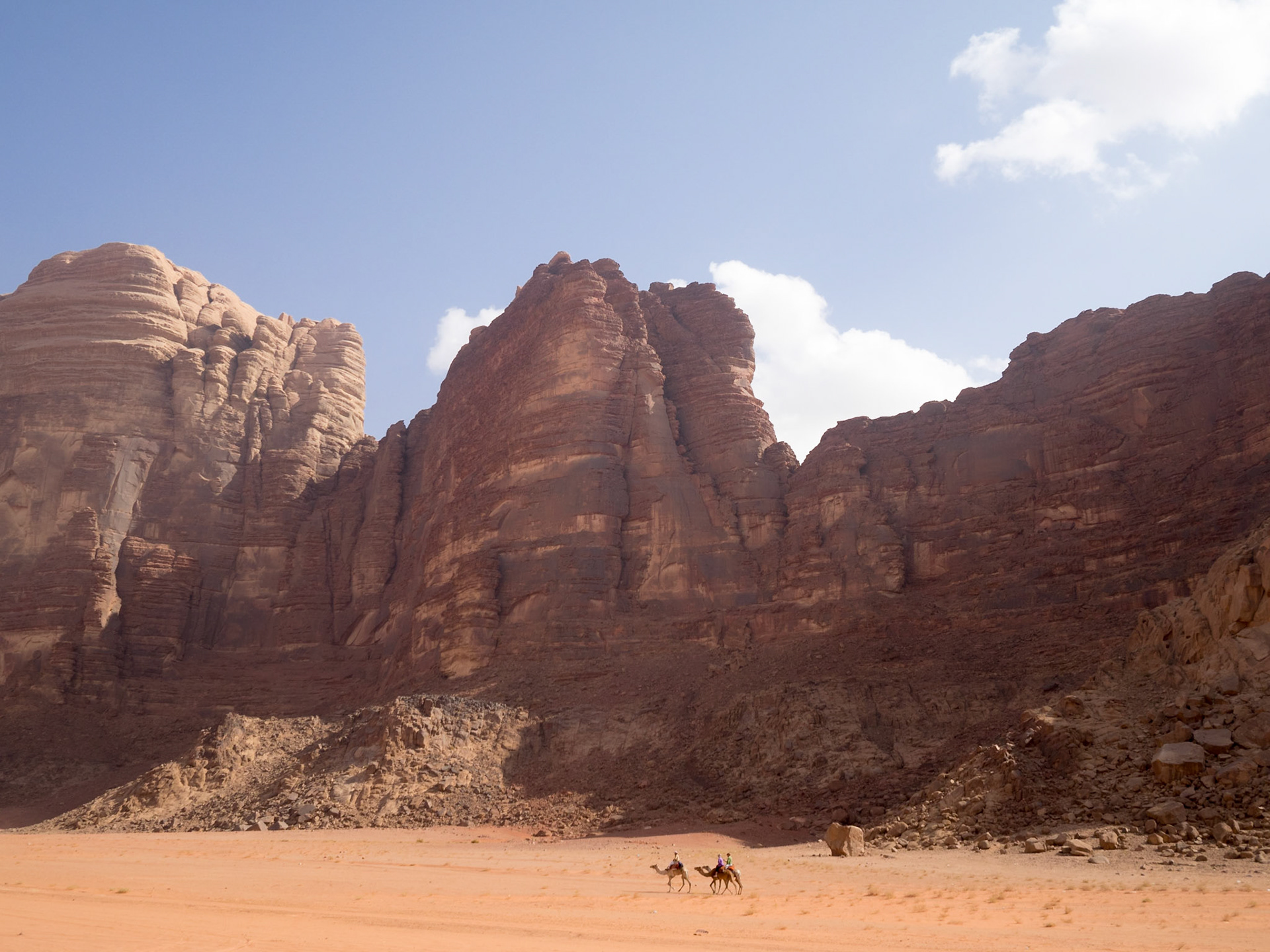 Camels in Wadi Rum desert red rocky landscape