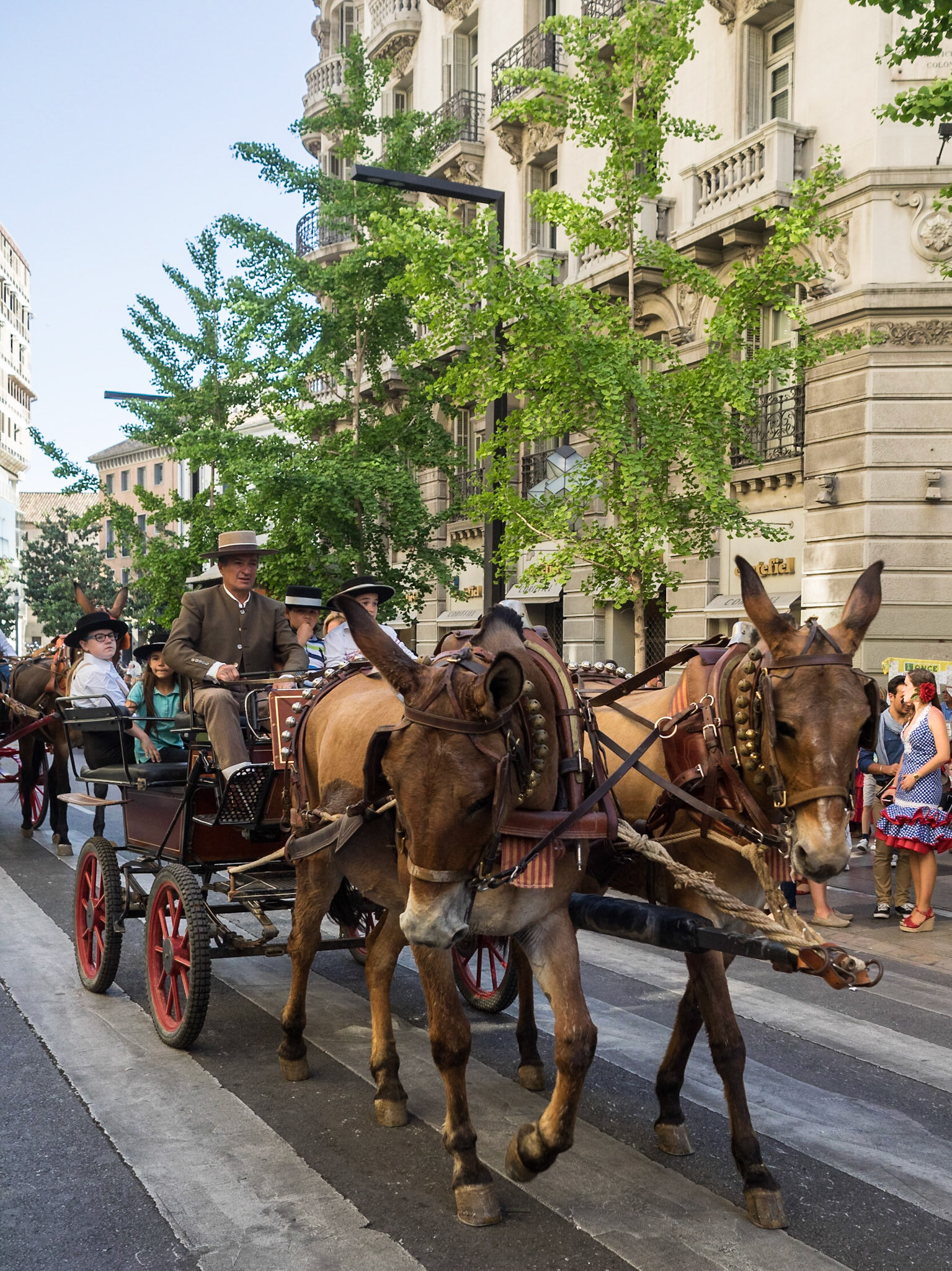 Street parade during the Las Cruces de Mayo in Granada