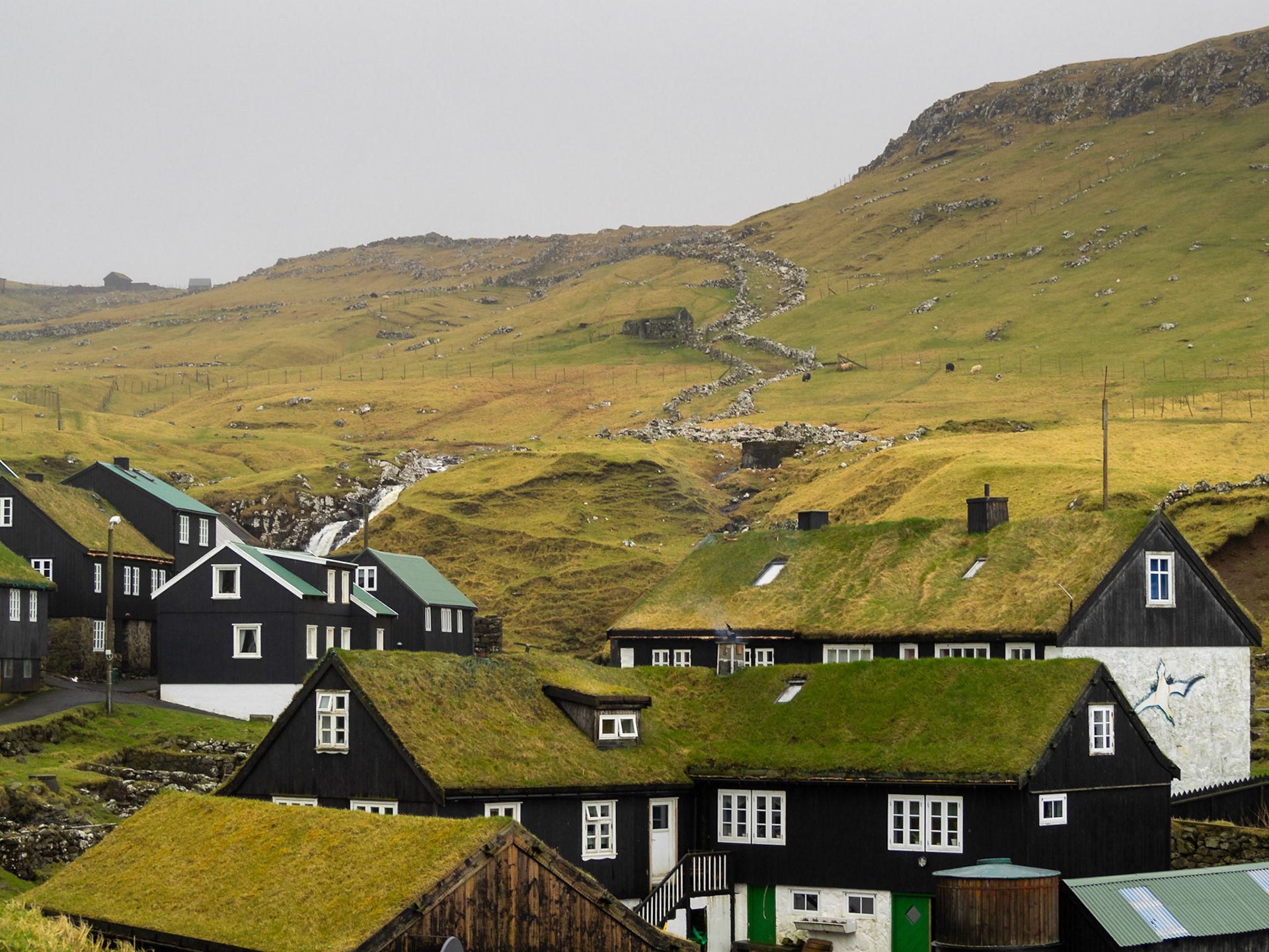 Black and white houses with turf roof of Mykines