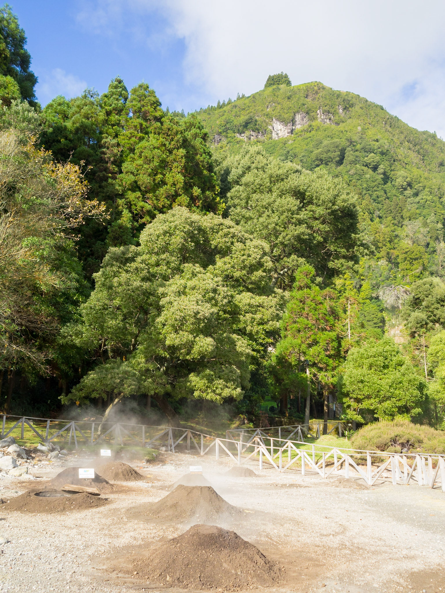 Cooking food in Furnas geothermal ground below the mountains green