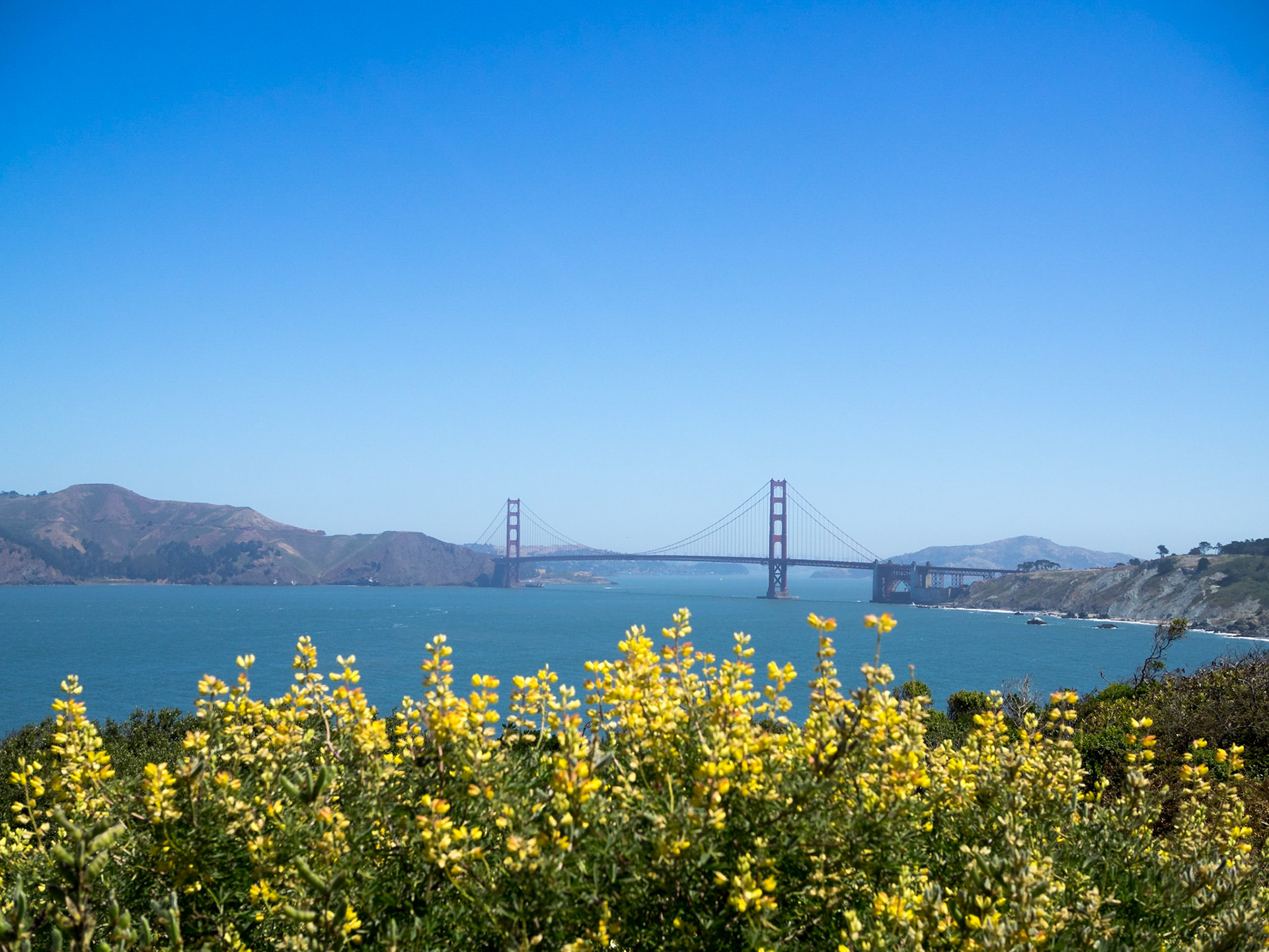 Golden Gate Bridge seen from the Lands End pPark