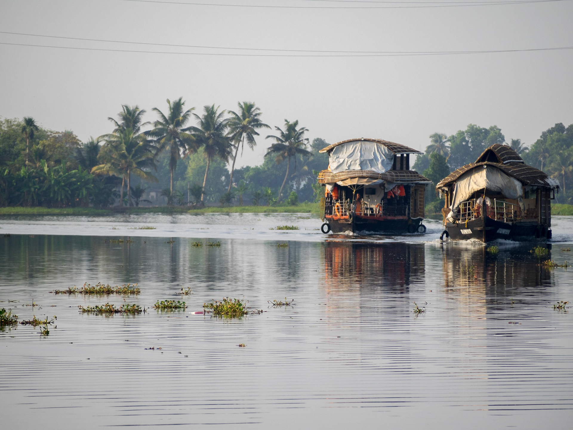 Houseboats in Kerala backwaters