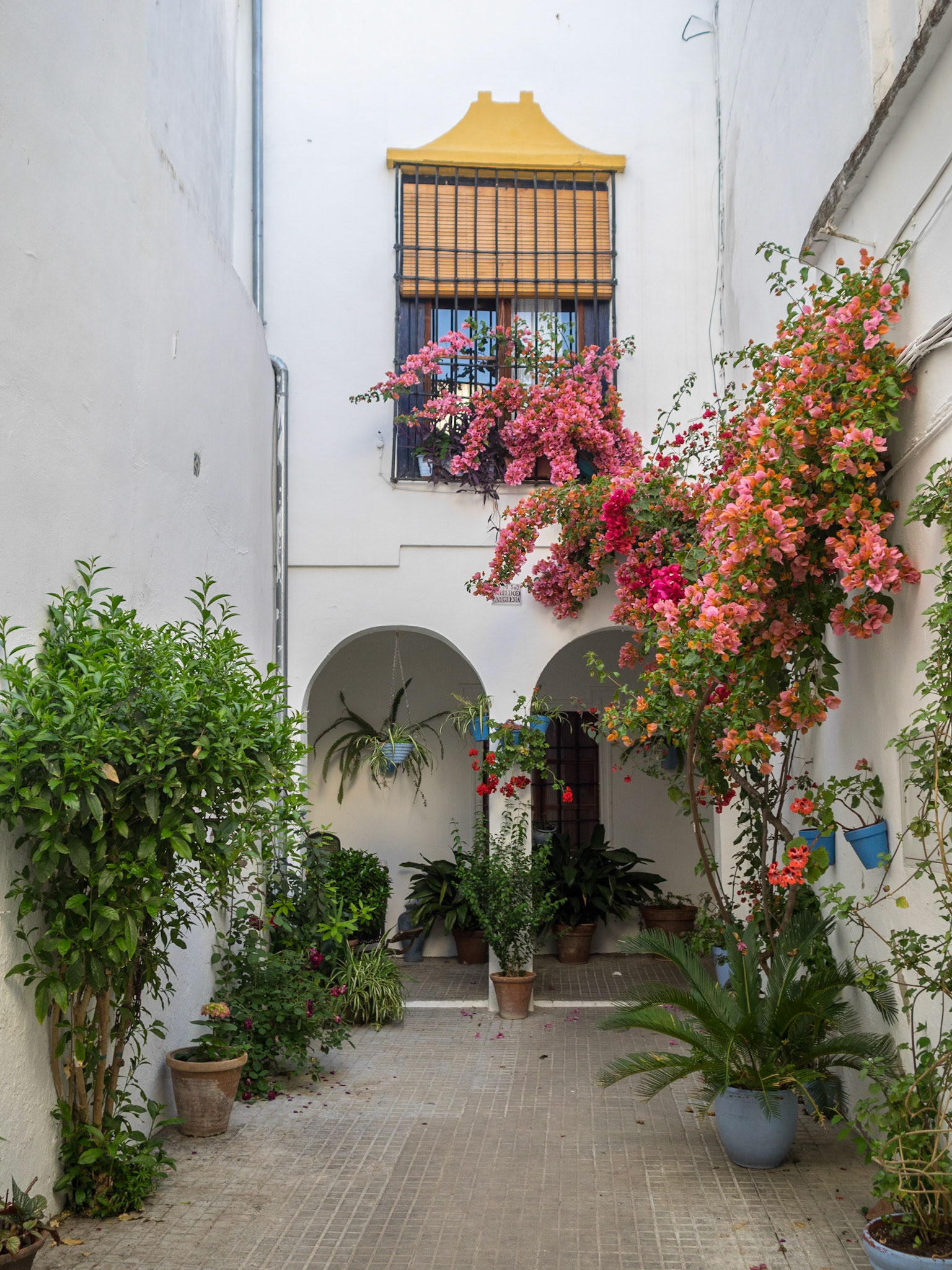 Cordoba courtyard