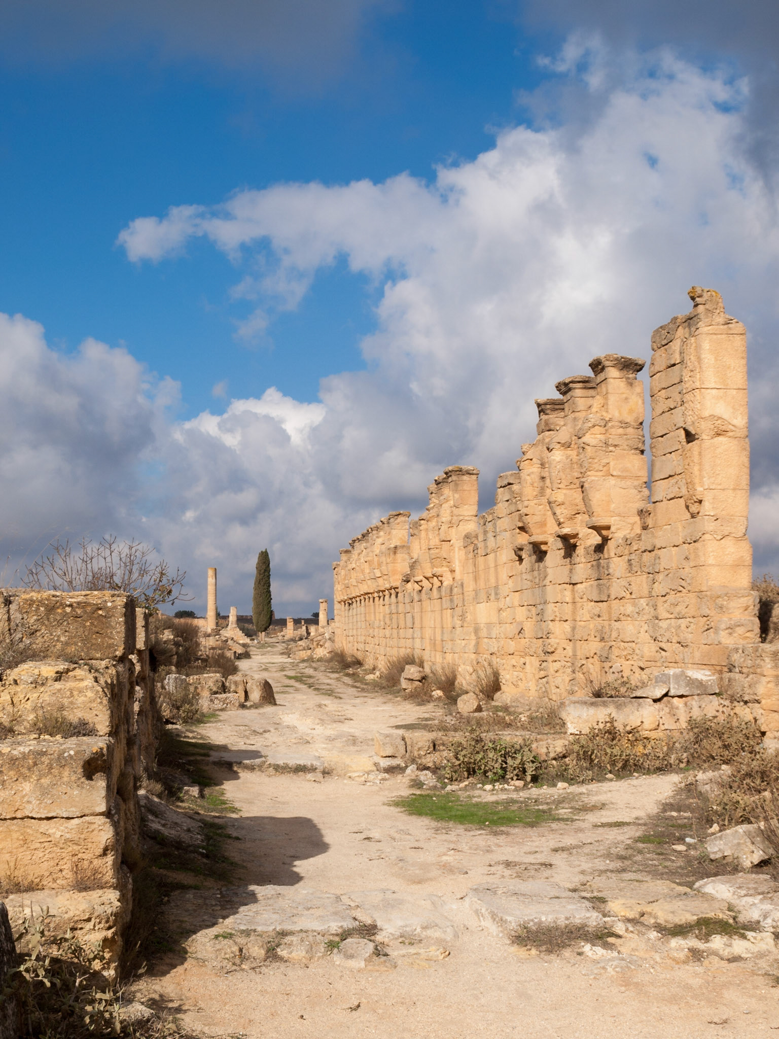Skyrota with Hercules and  Hermes images in Cyrene