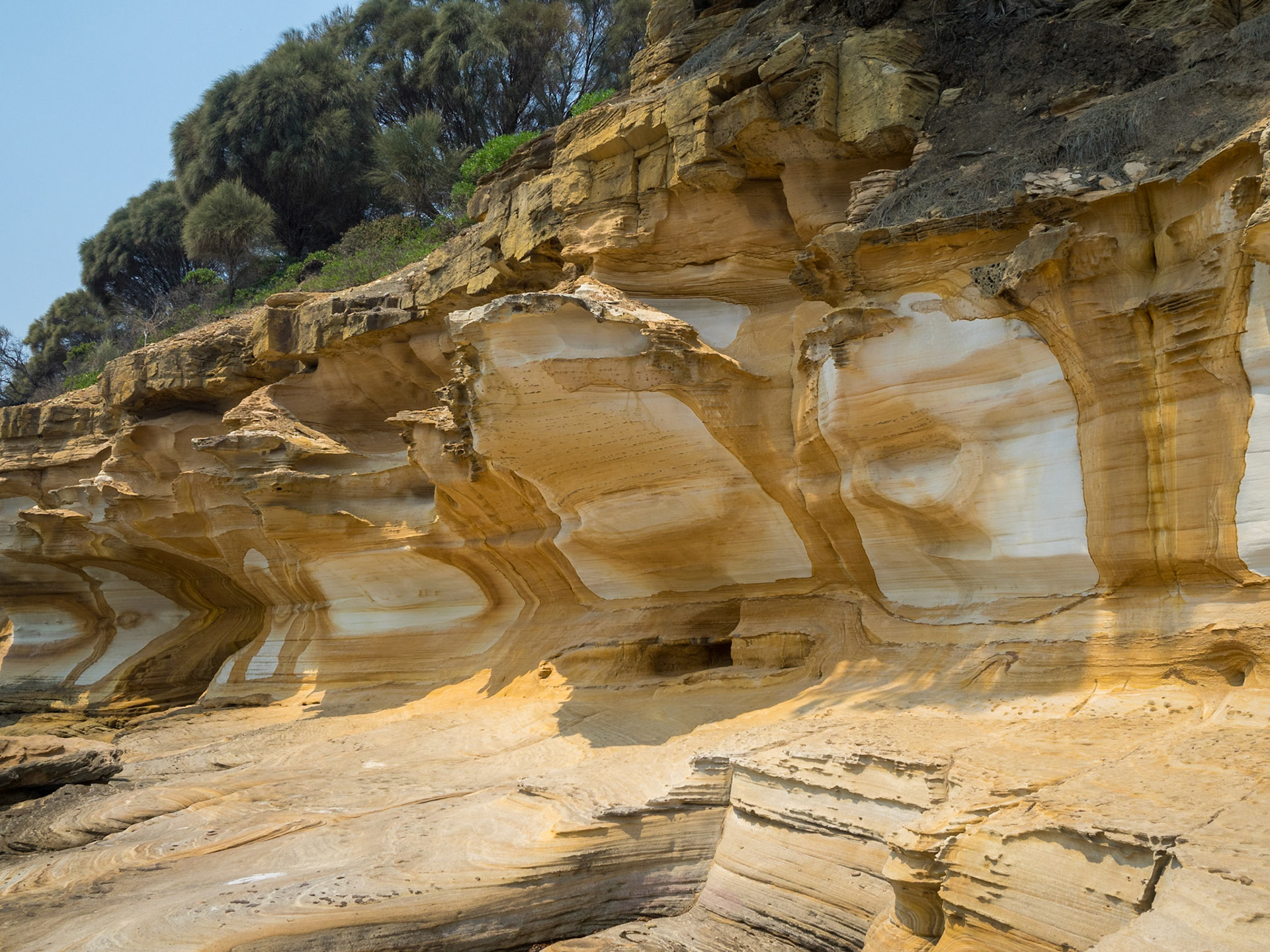 Maria Island Painted Cliffs