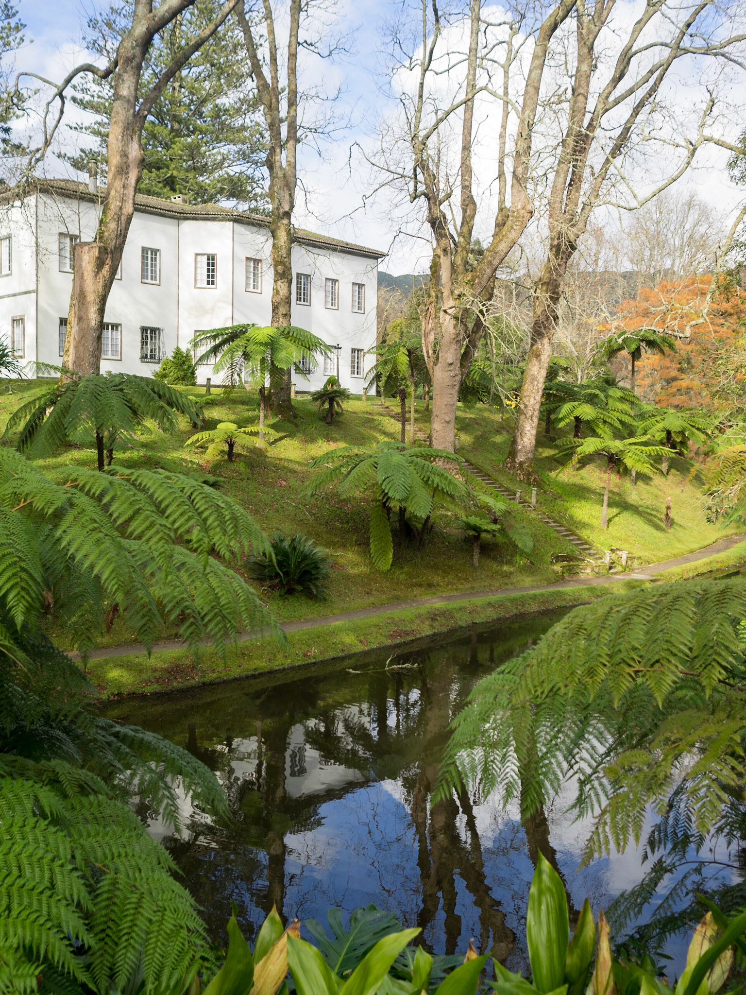 Terra Nostra Park plants reflected in the river