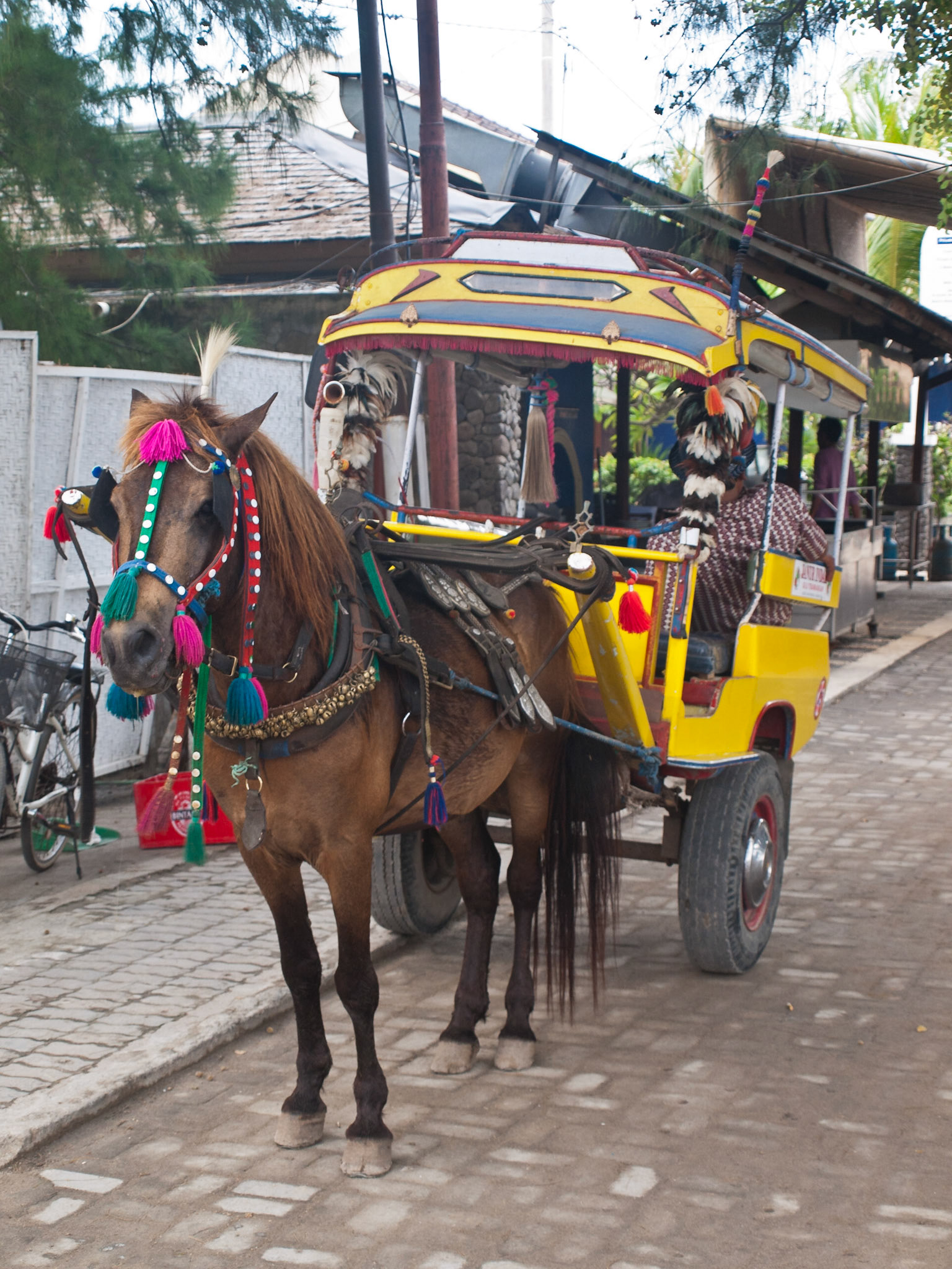 Horse cart, traditional Gili T transportation medium