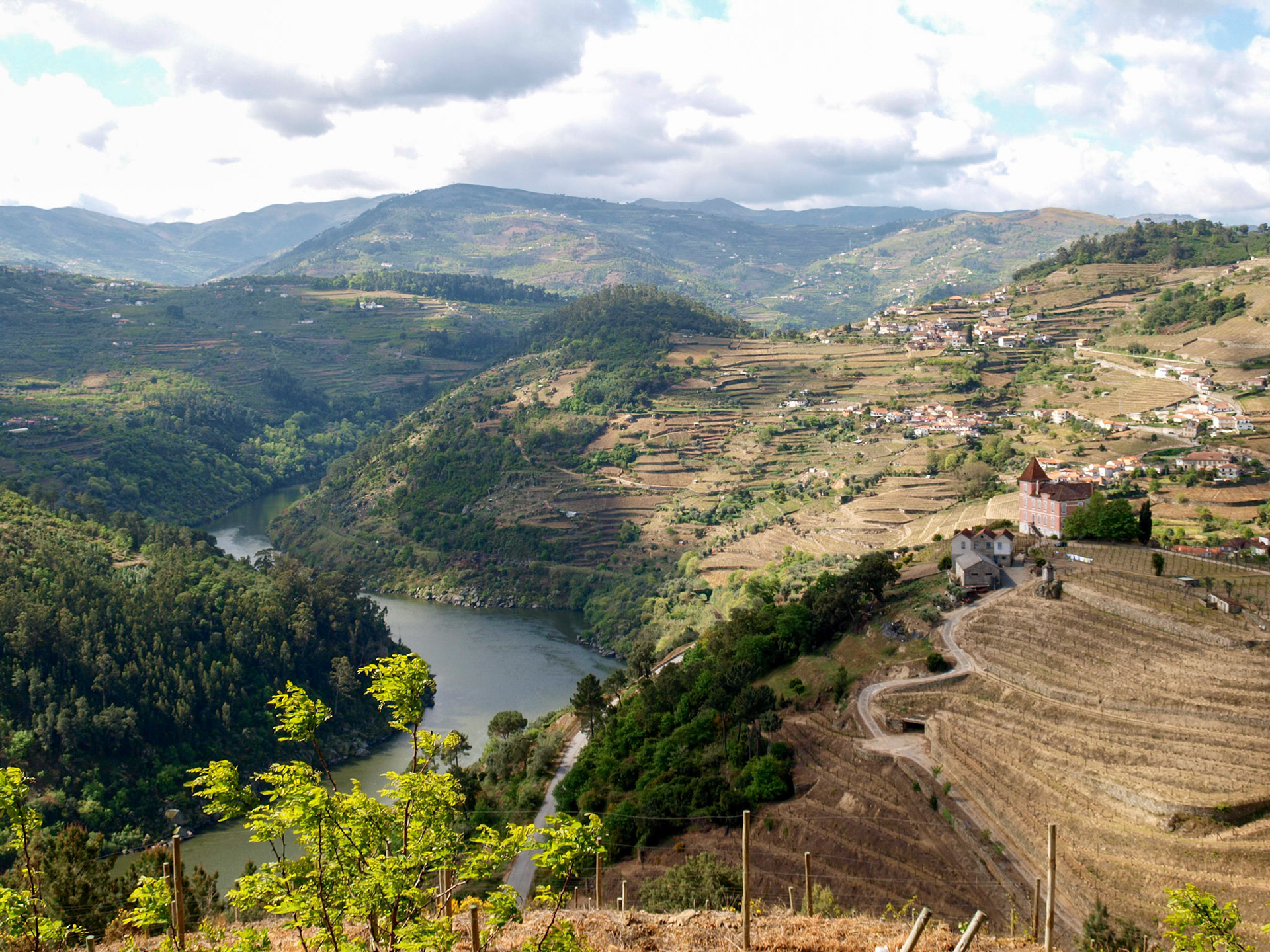 Douro valey landscape