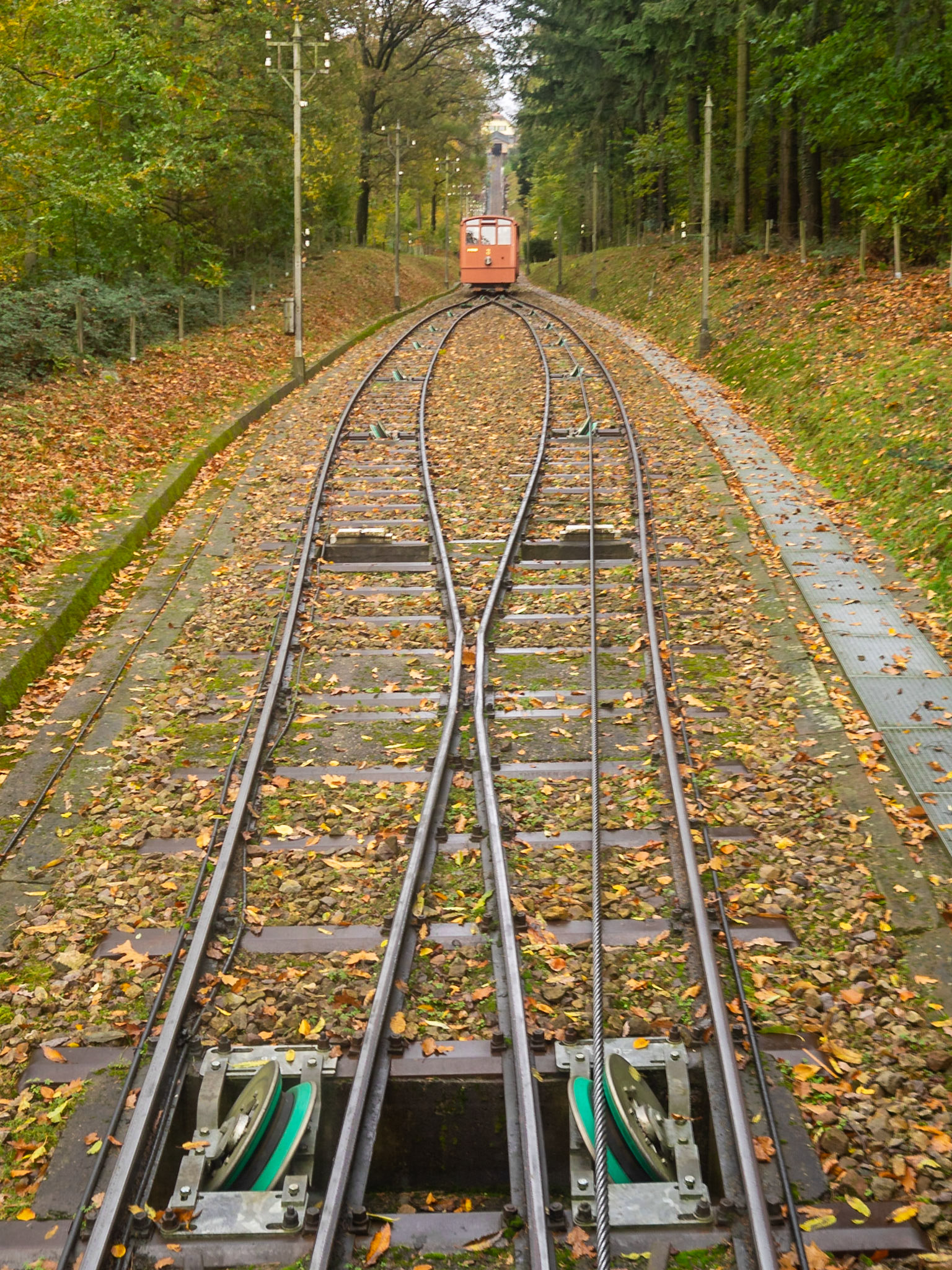 Bergbahn tracks uphill between the autumn leafs