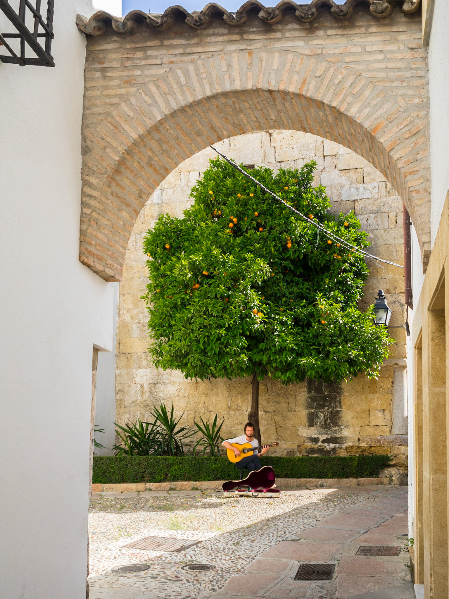 Guitar player in Cordoba street