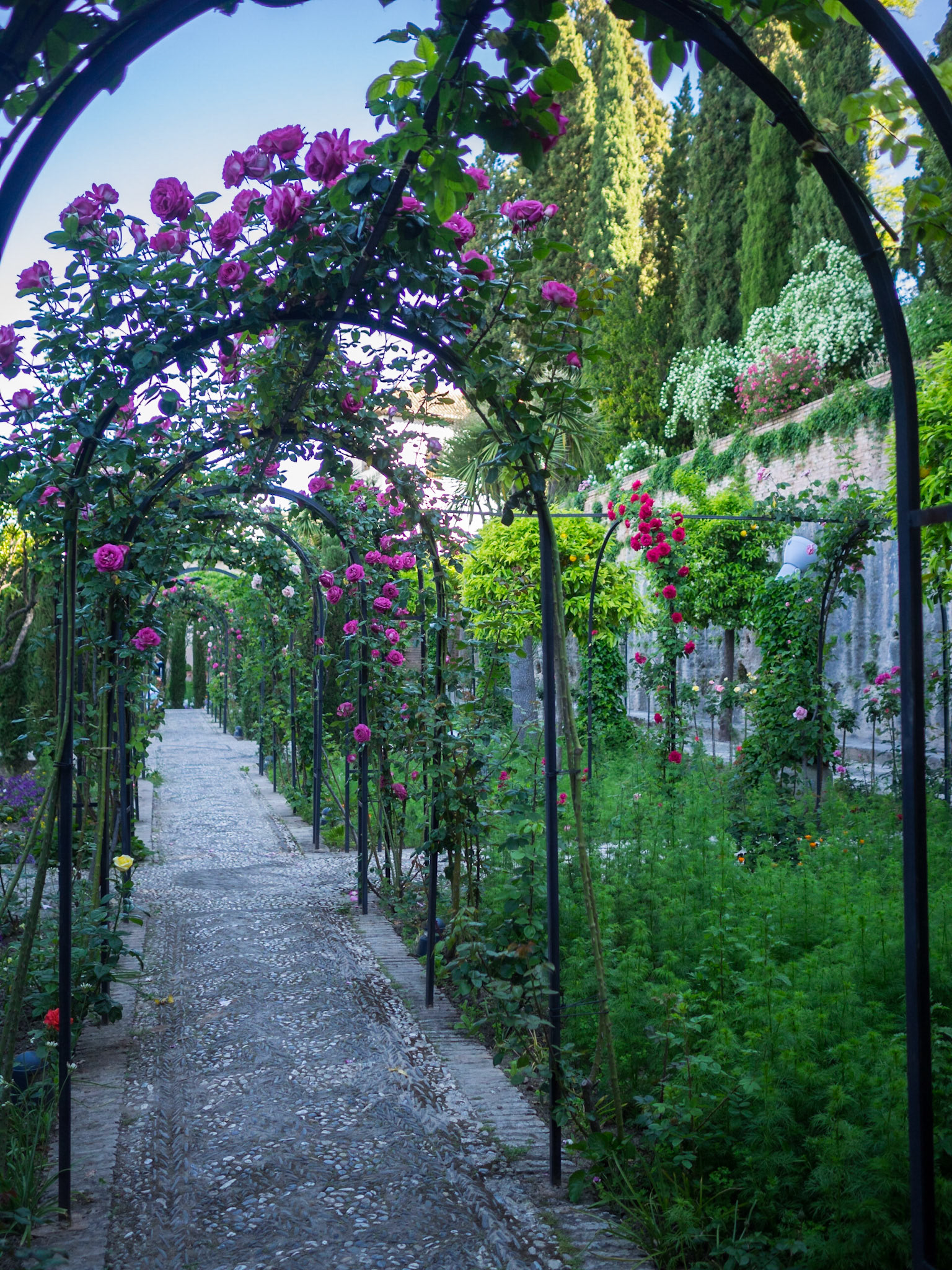 Lower Generalife gardens