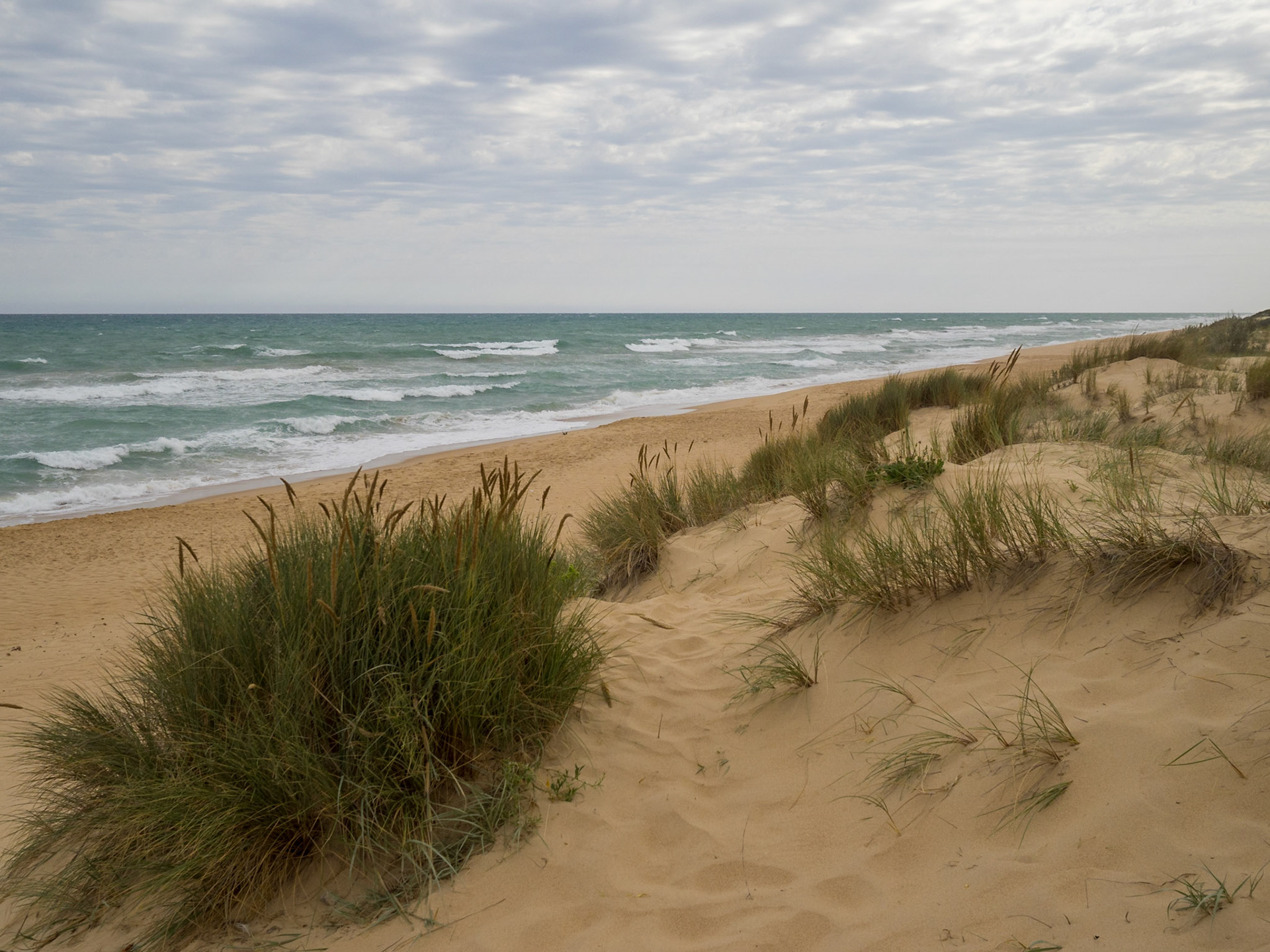 Ninety Mile Beach
