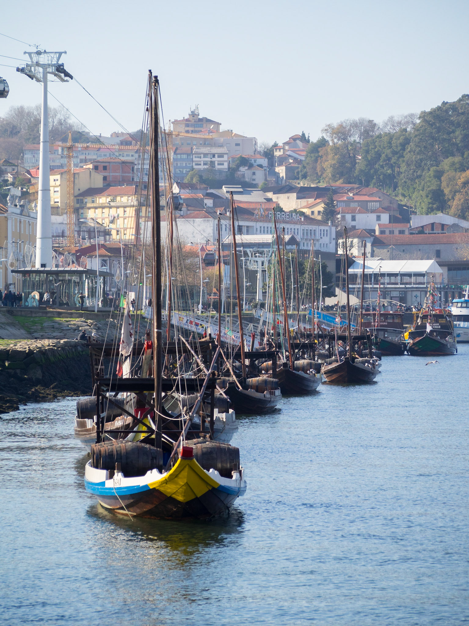 Pot wine transport boats in Douro River