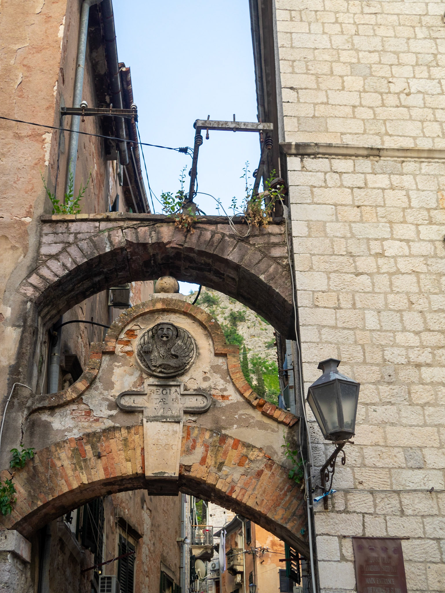 Venice Lion carving in a street of kotor, Montenegro