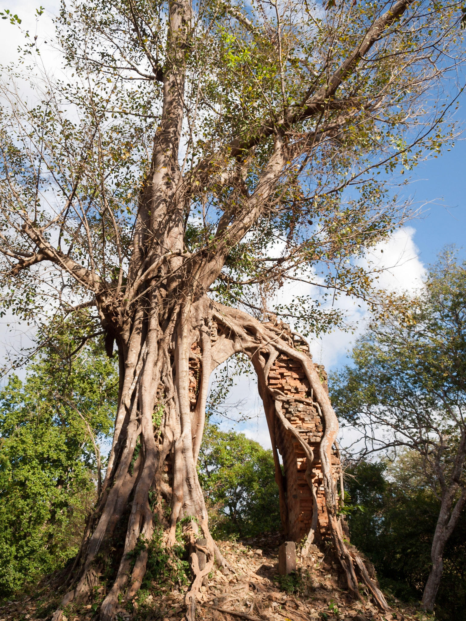 Sambor Prei Kuk, Prasat Yeay Peau, Cambodia - 7th century pre-angkorian brik temples dedicated to Shiva