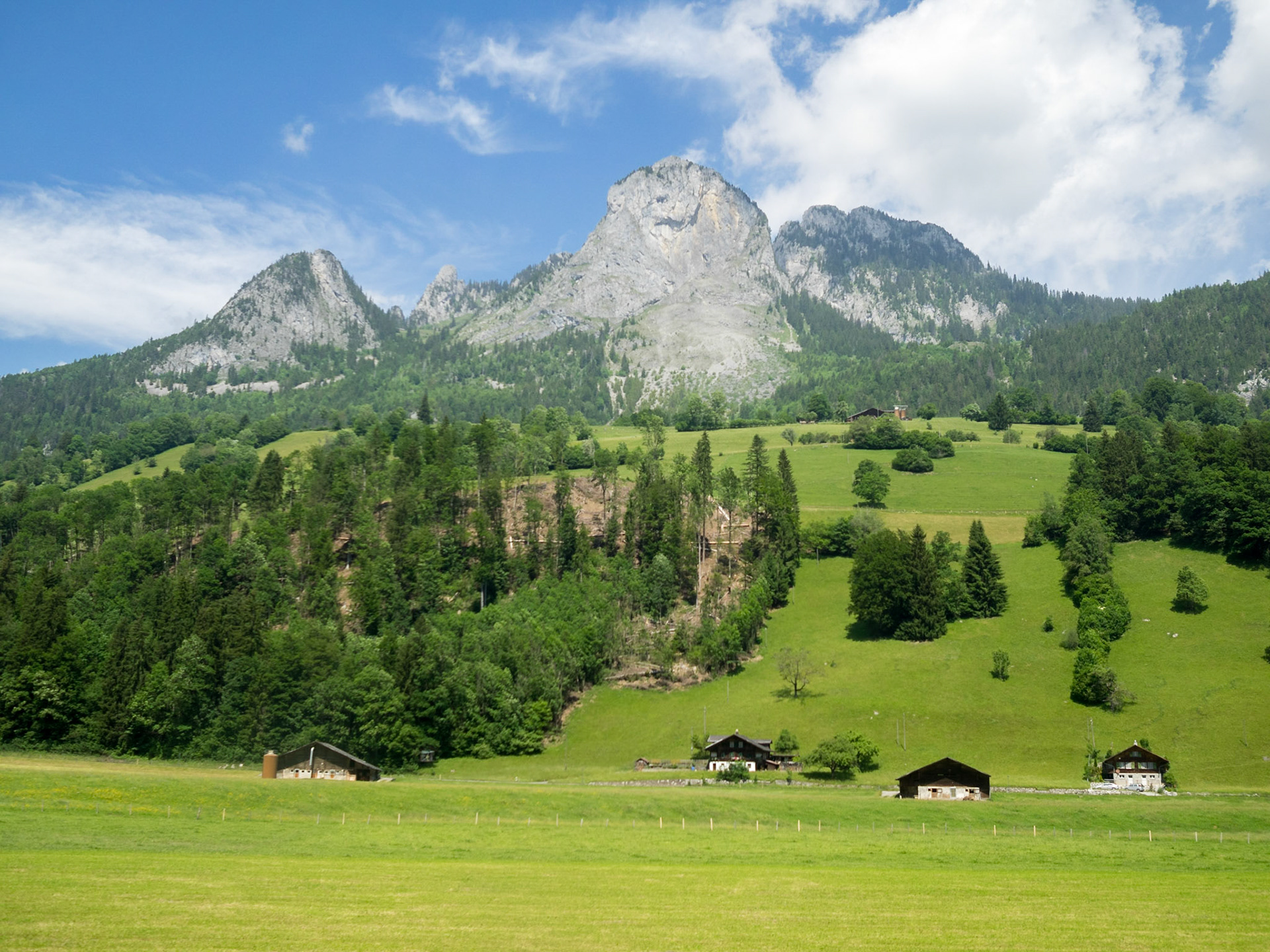Swiss landscape with green fields and mountain peaks