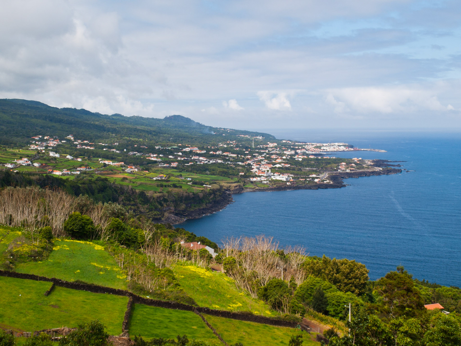 Pico island coastline