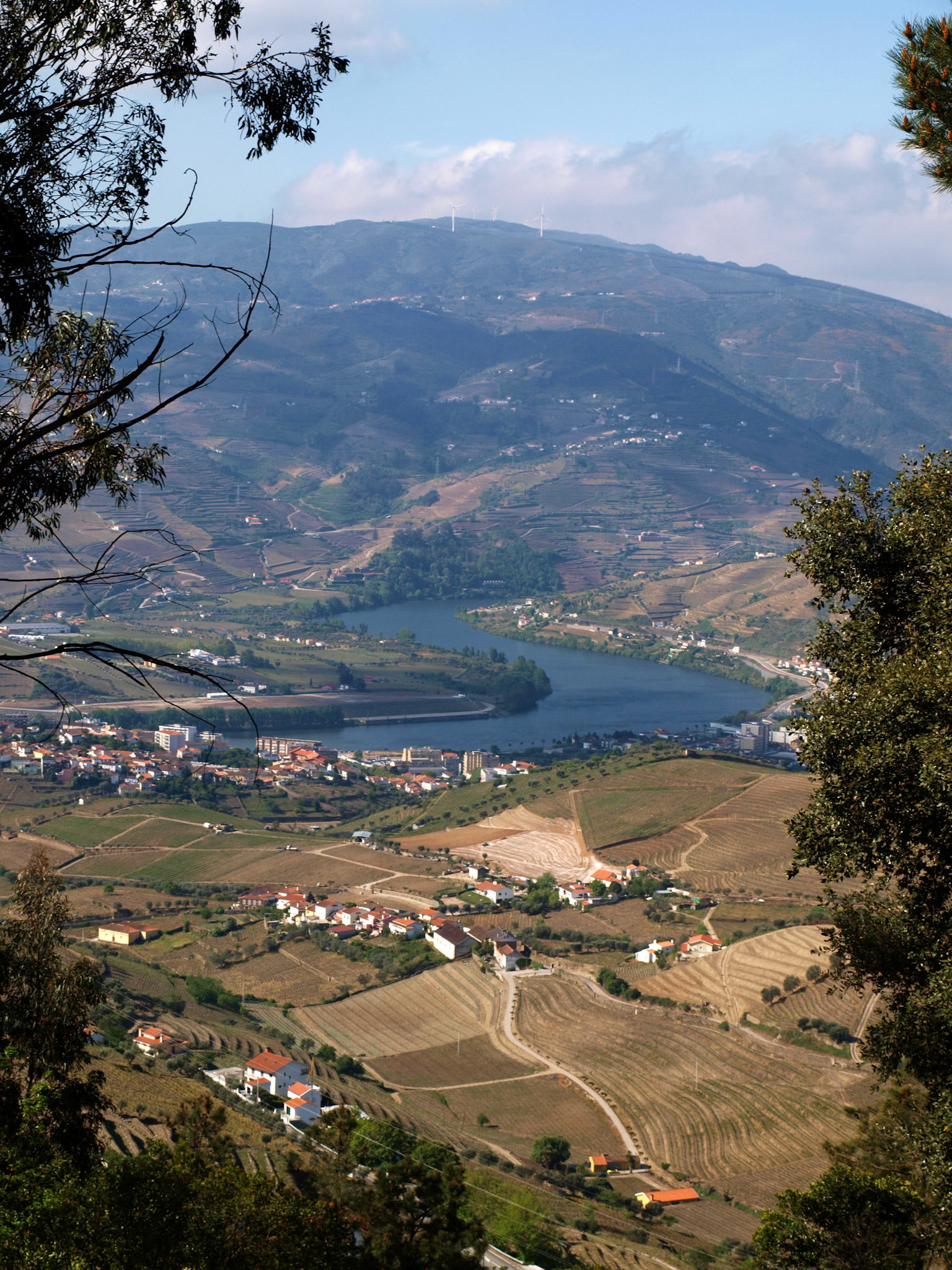 Douro valey landscape