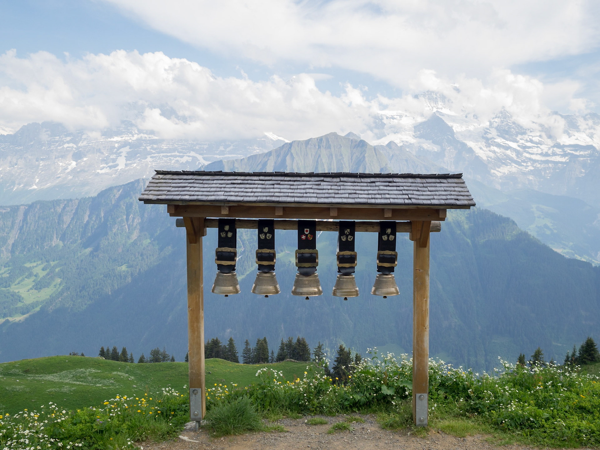 Schynige Platte mountains view with cowbells